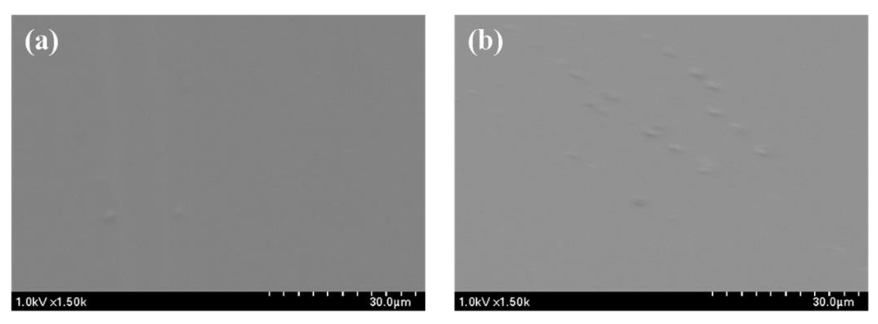 Nanomaterials 11 00602 g001 Nanomaterials 11 00602 g001