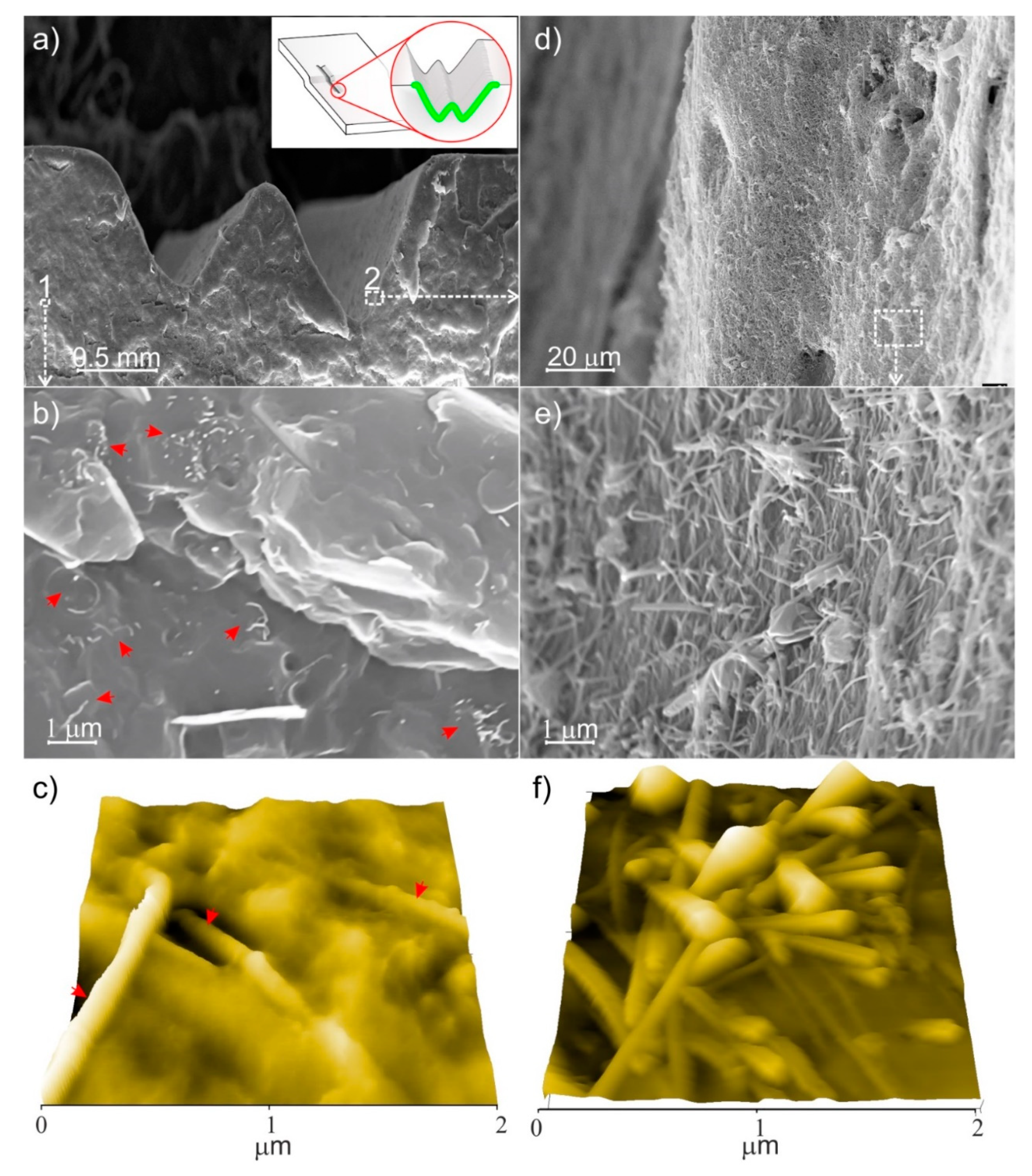 Nanomaterials 11 00604 g007