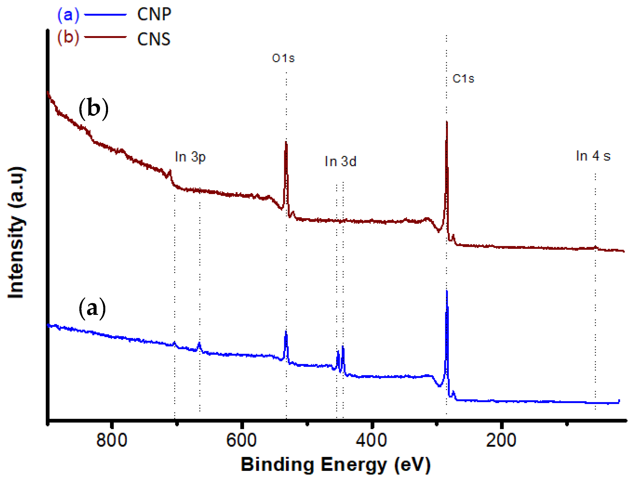 Nanomaterials 11 00608 g005