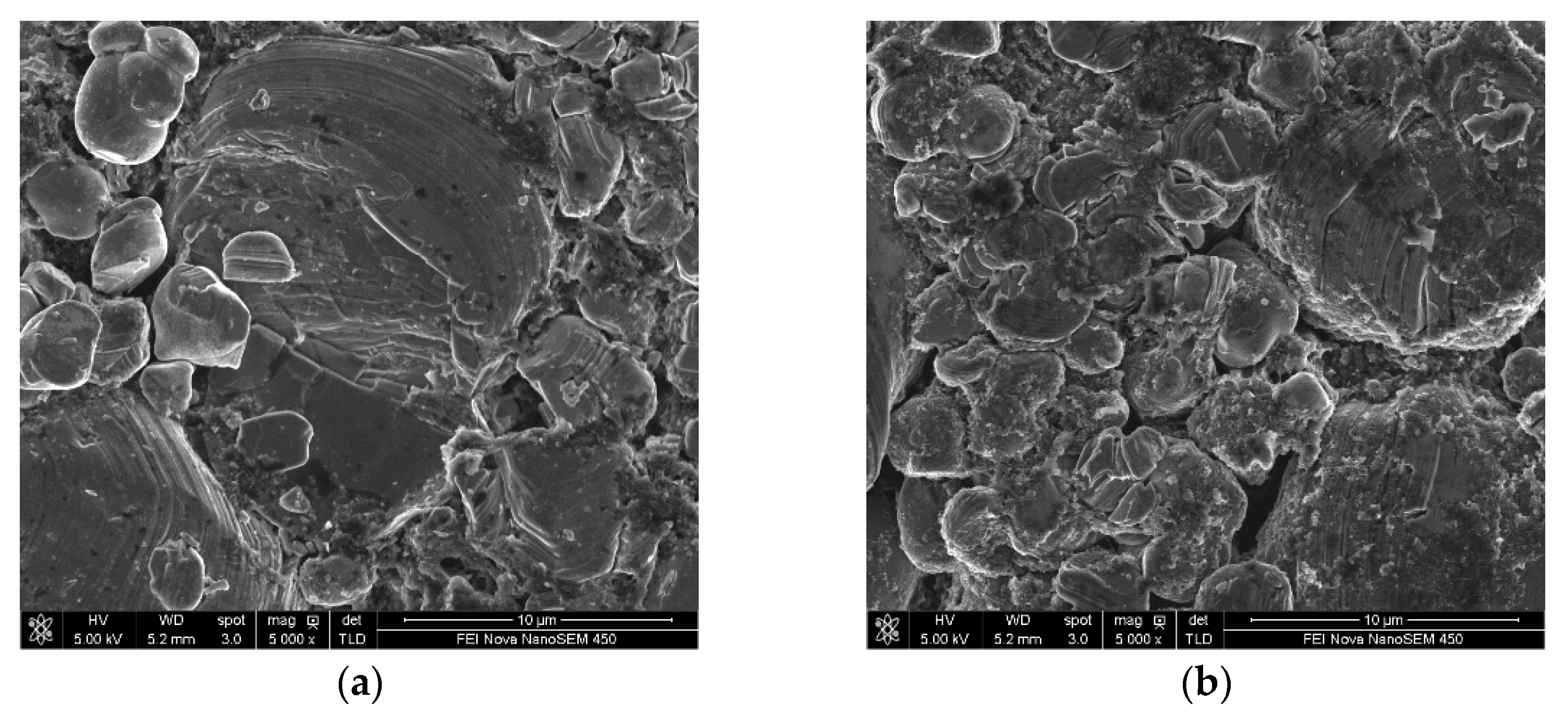 Nanomaterials 11 00609 g008a