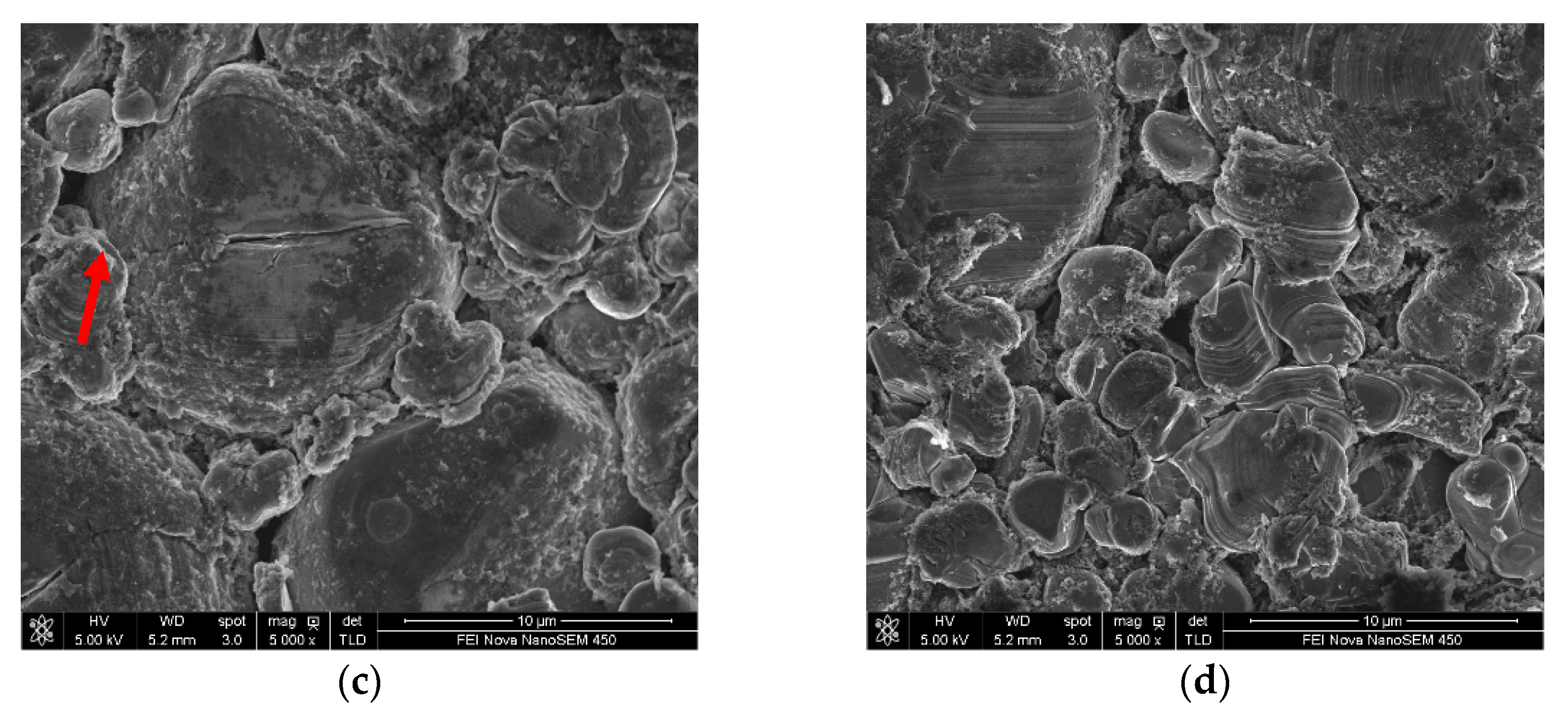 Nanomaterials 11 00609 g008b