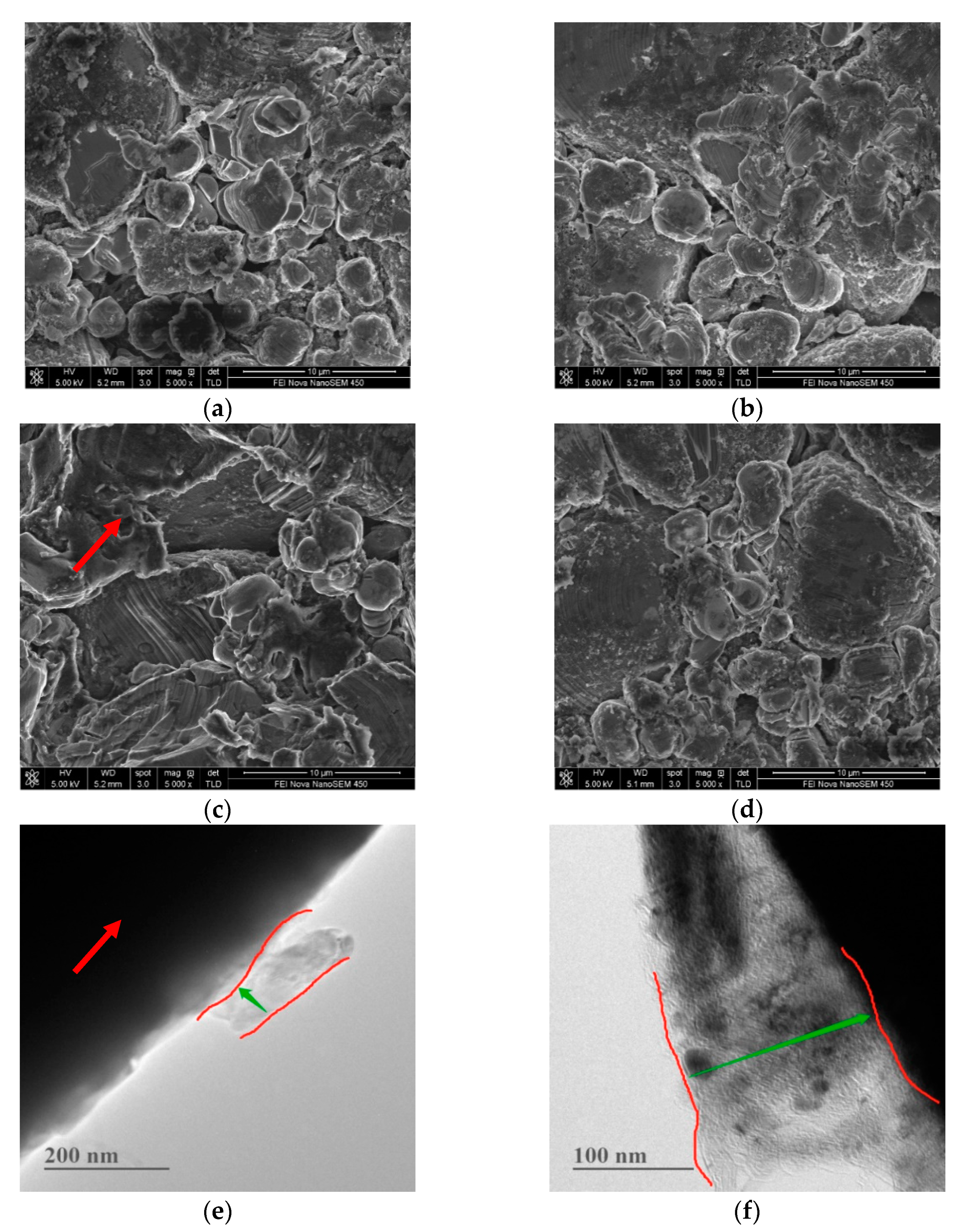 Nanomaterials 11 00609 g012