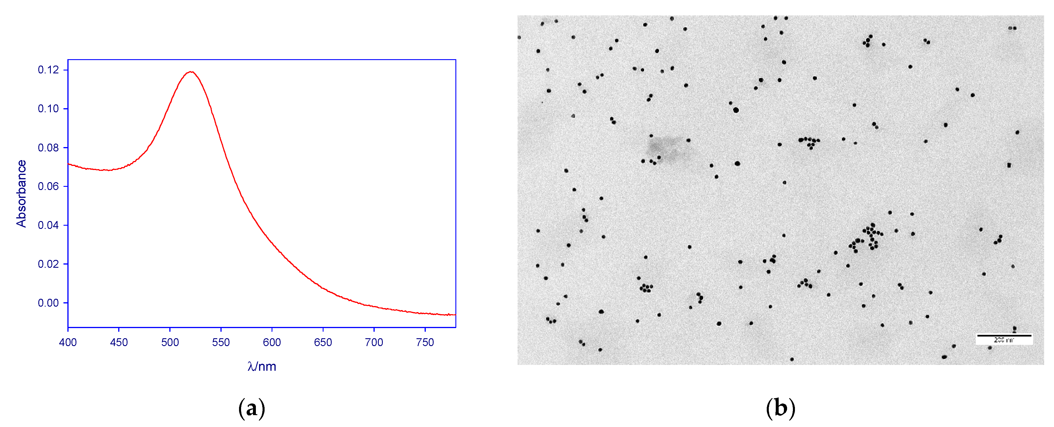 Nanomaterials 11 00612 g001 Nanomaterials 11 00612 g001