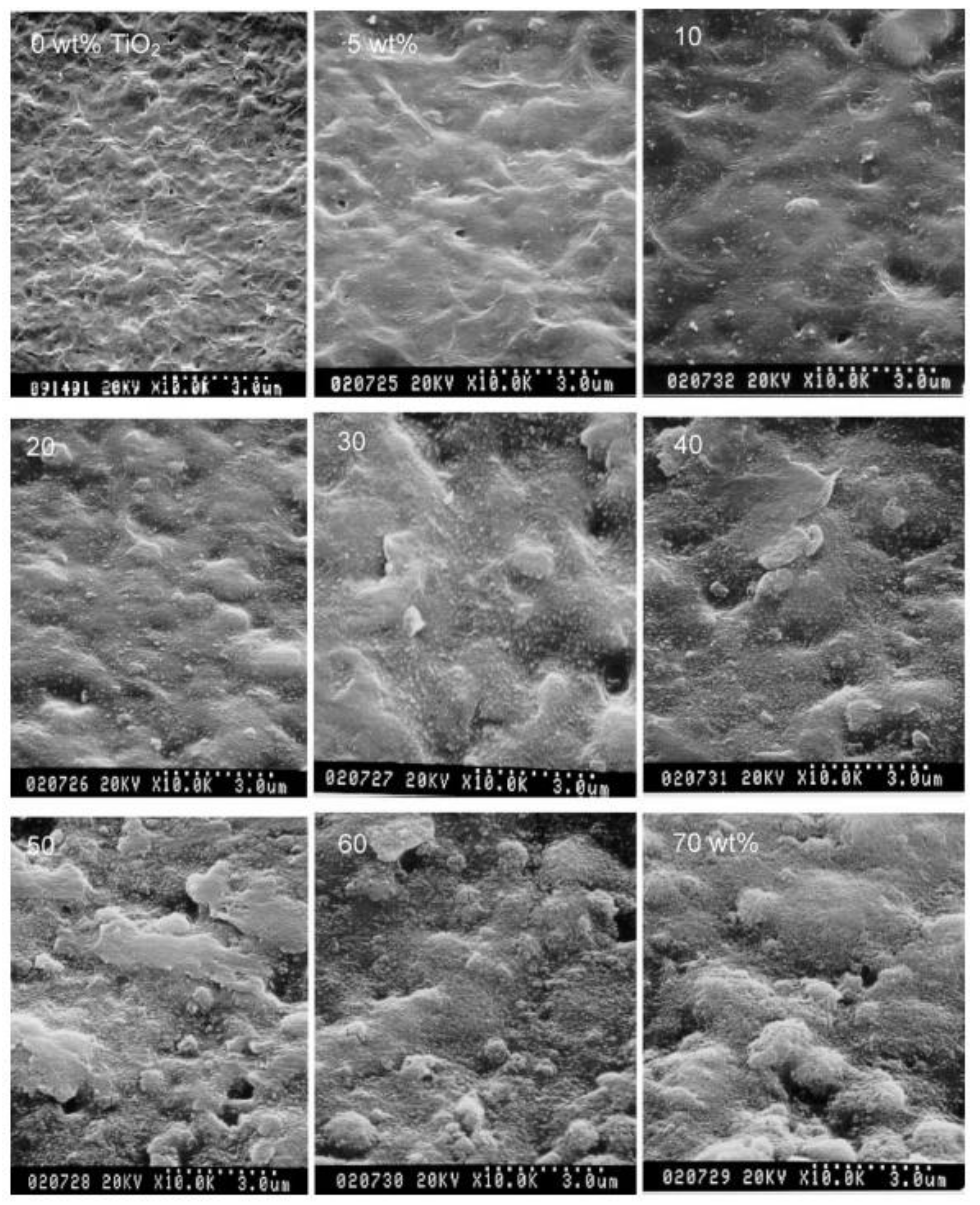 Nanomaterials 11 00614 g004