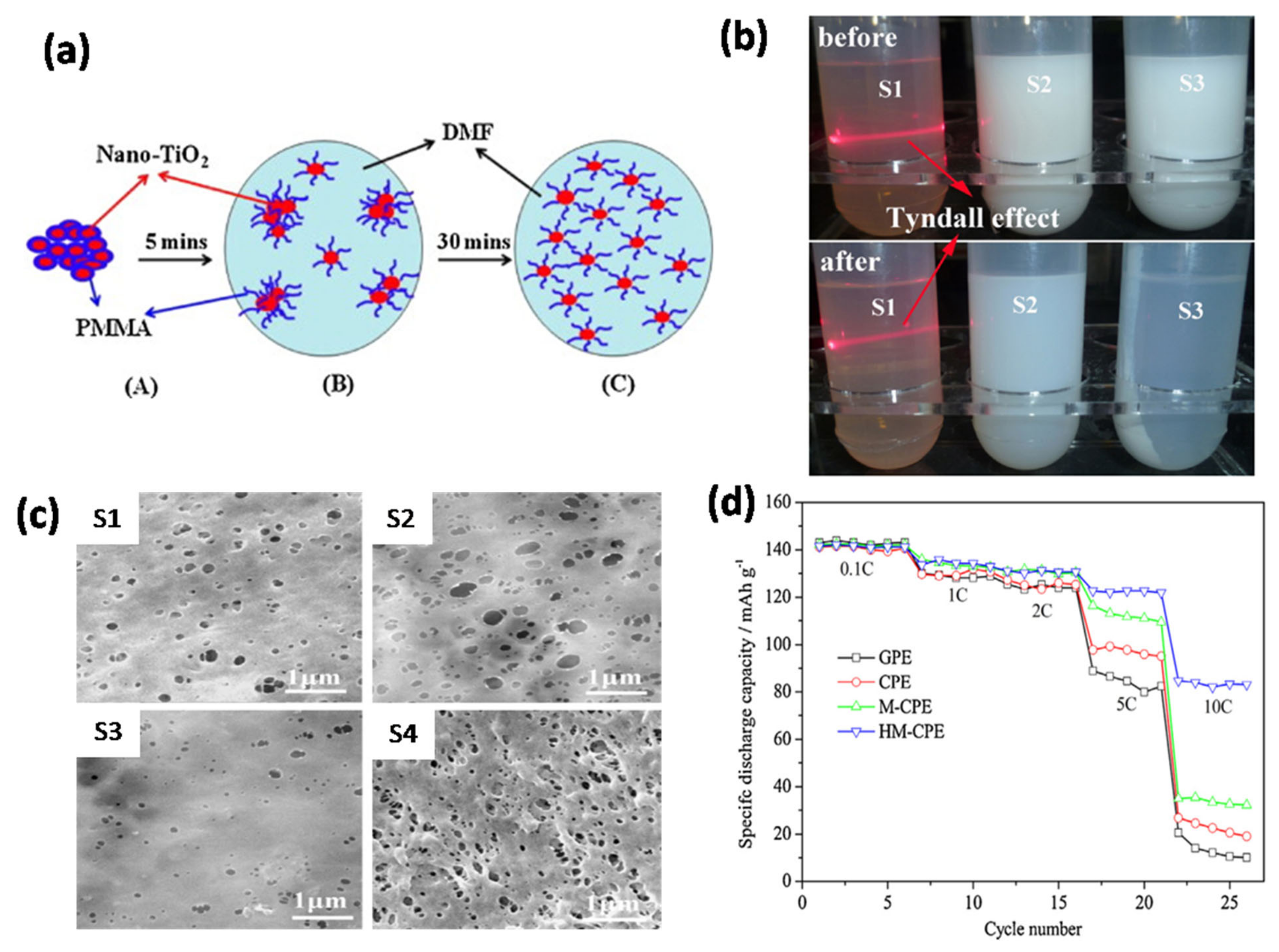 Nanomaterials 11 00614 g006