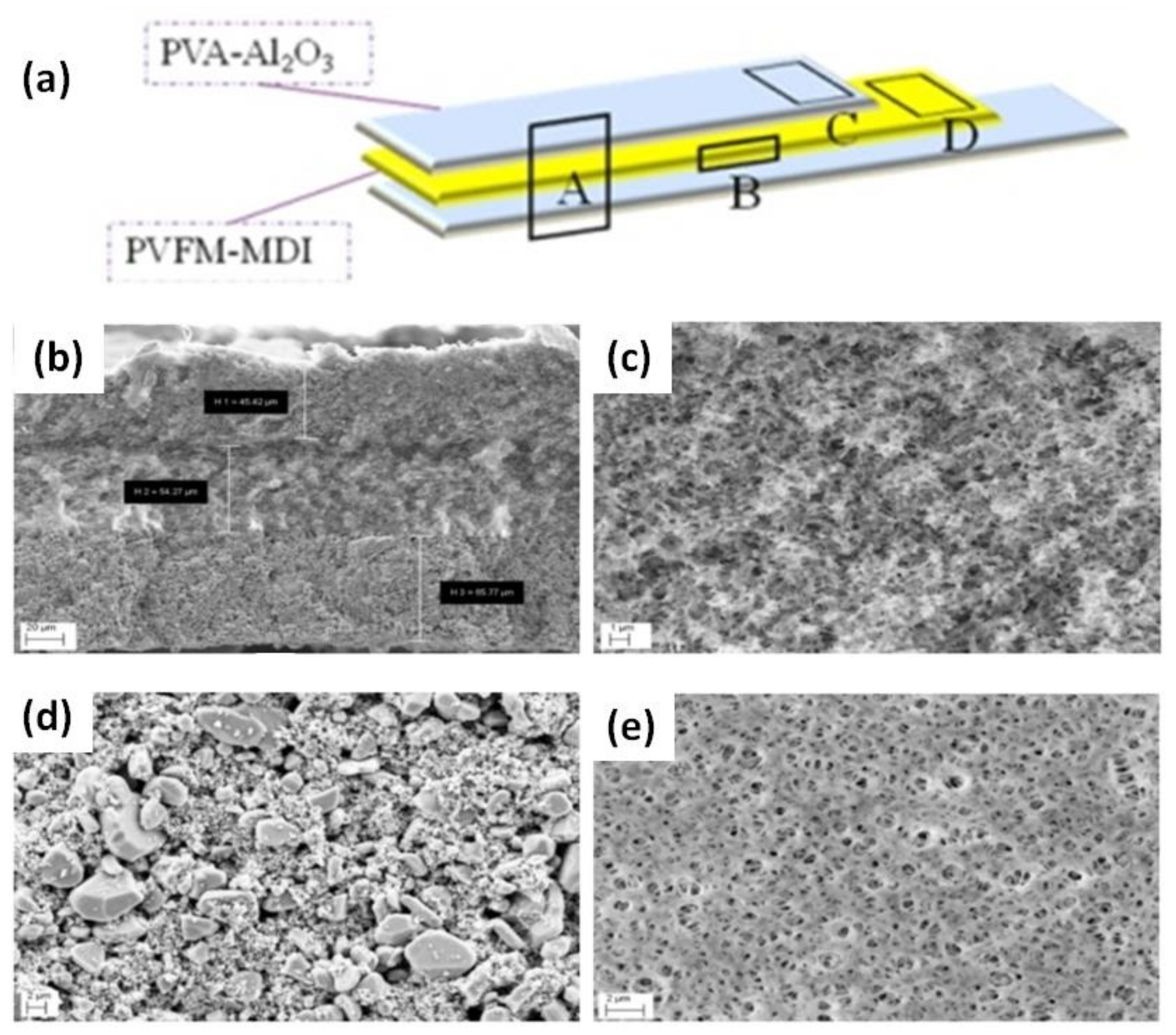 Nanomaterials 11 00614 g010