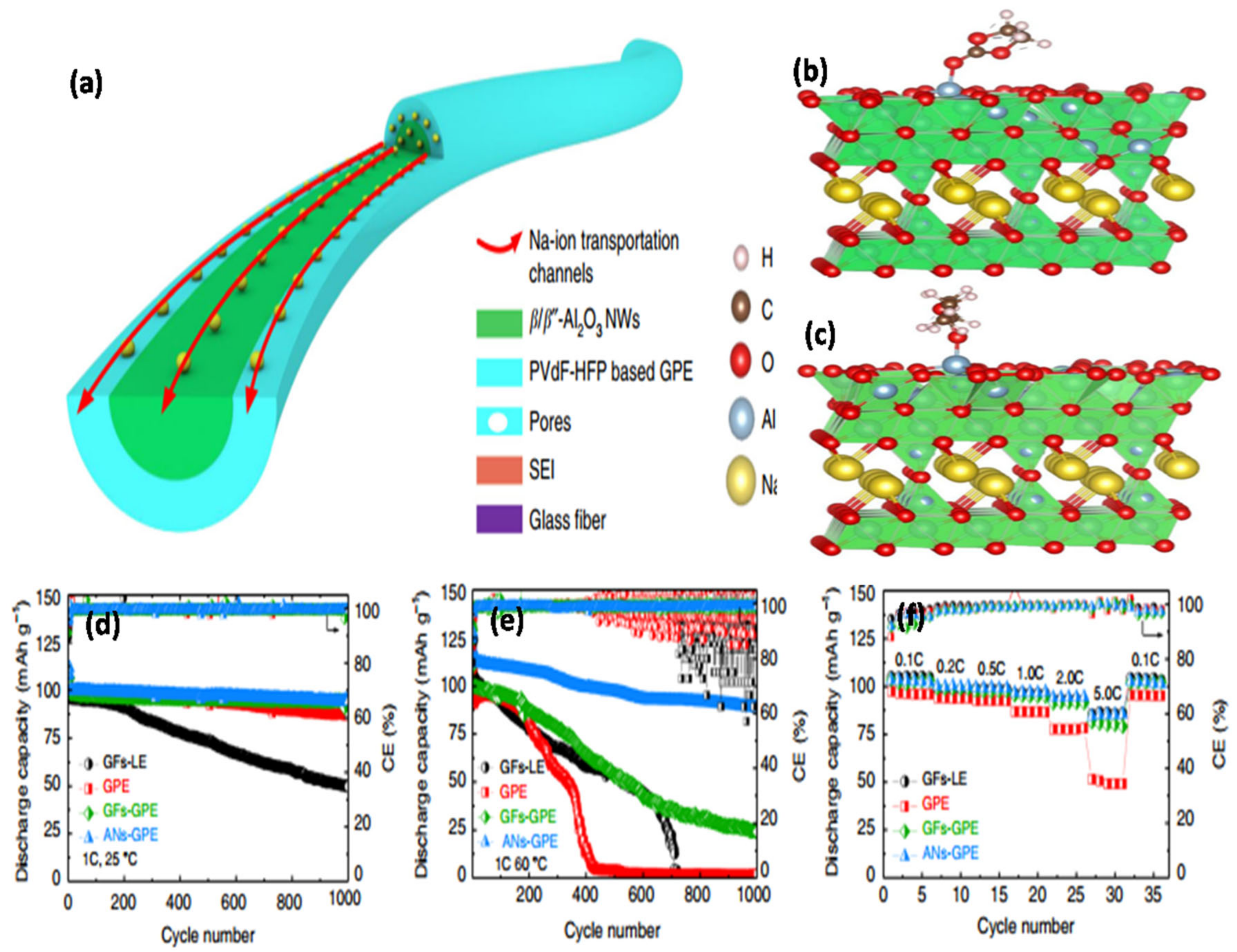 Nanomaterials 11 00614 g012