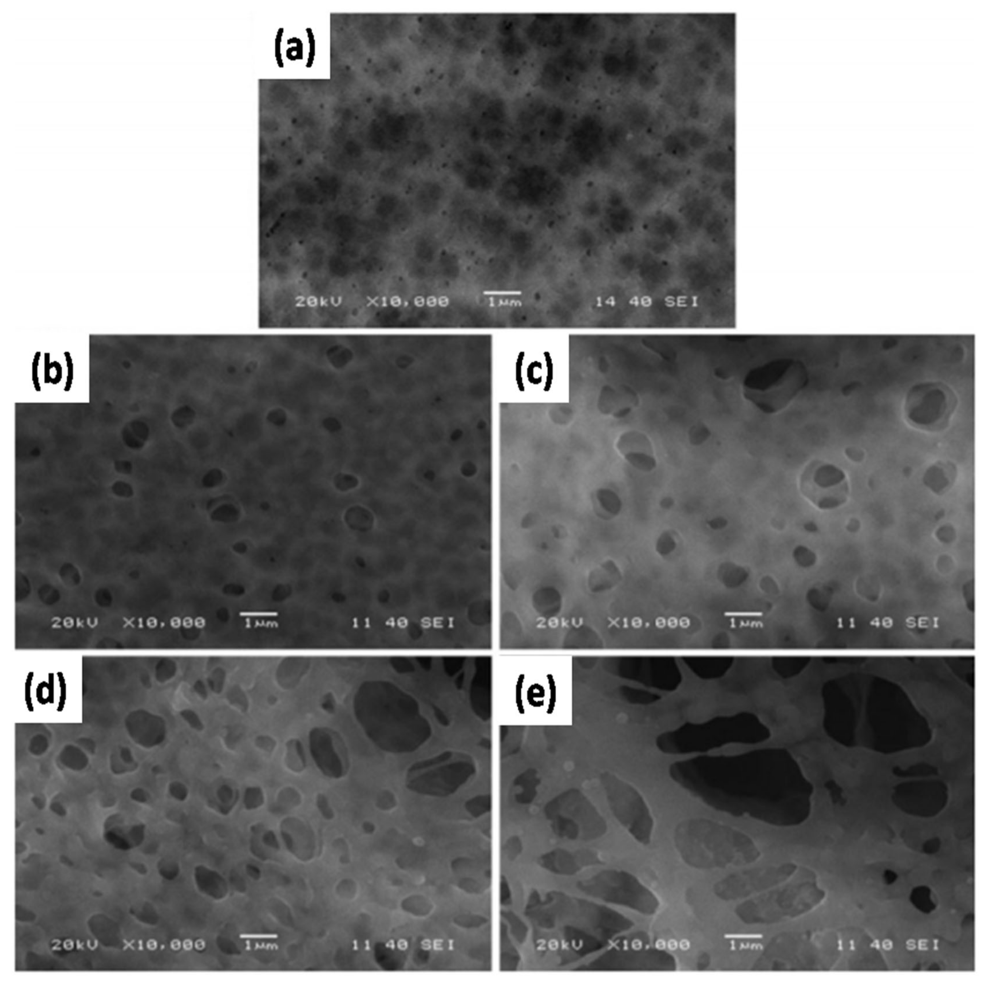 Nanomaterials 11 00614 g014