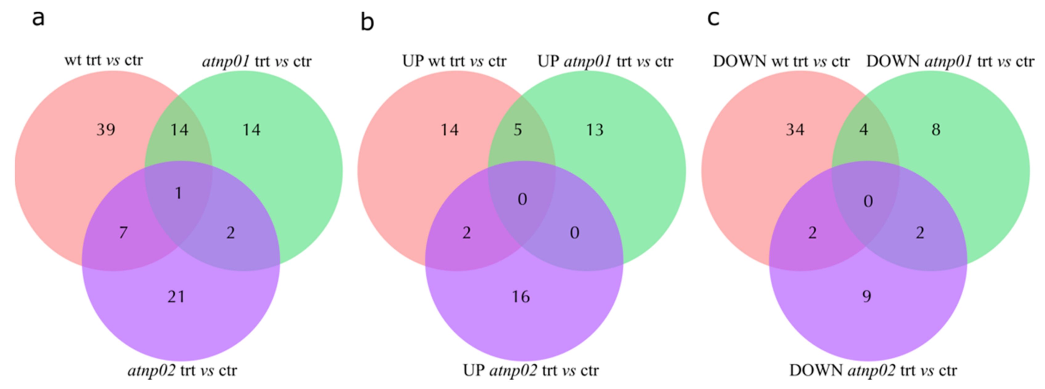 Nanomaterials 11 00615 g001 Nanomaterials 11 00615 g001
