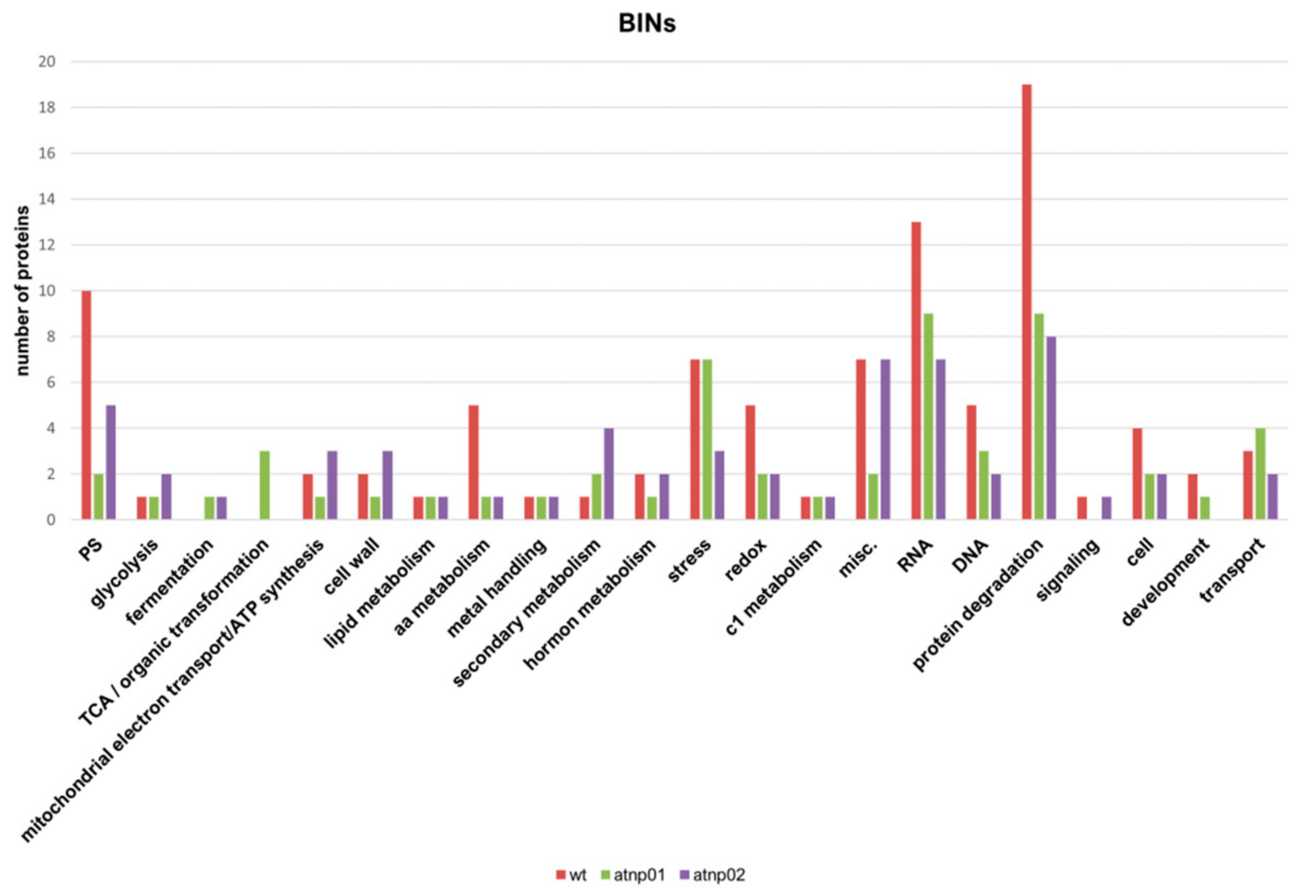 Nanomaterials 11 00615 g003 Nanomaterials 11 00615 g003