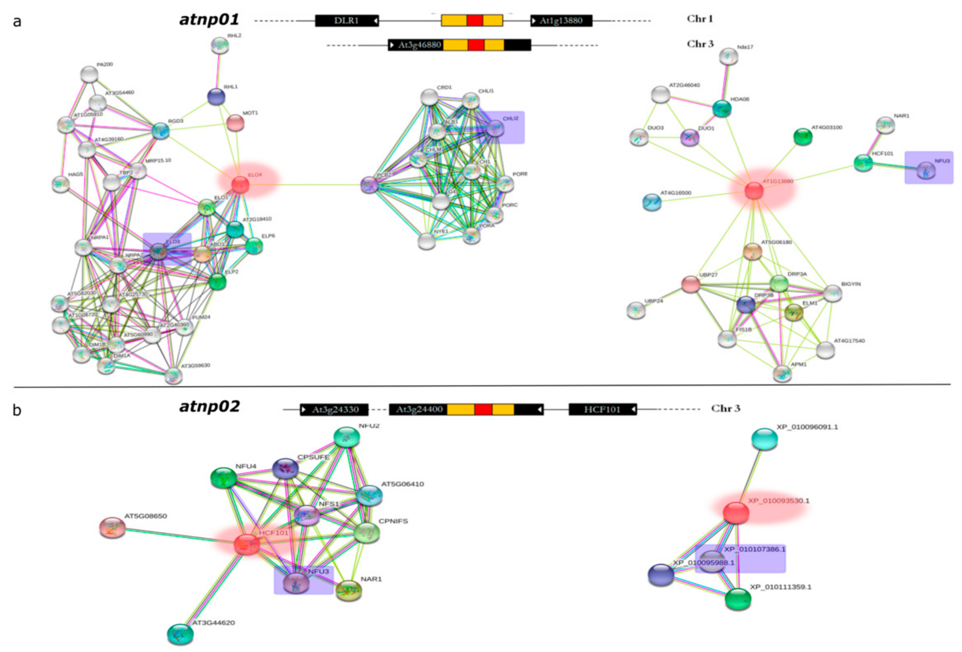 Nanomaterials 11 00615 g006 Nanomaterials 11 00615 g006