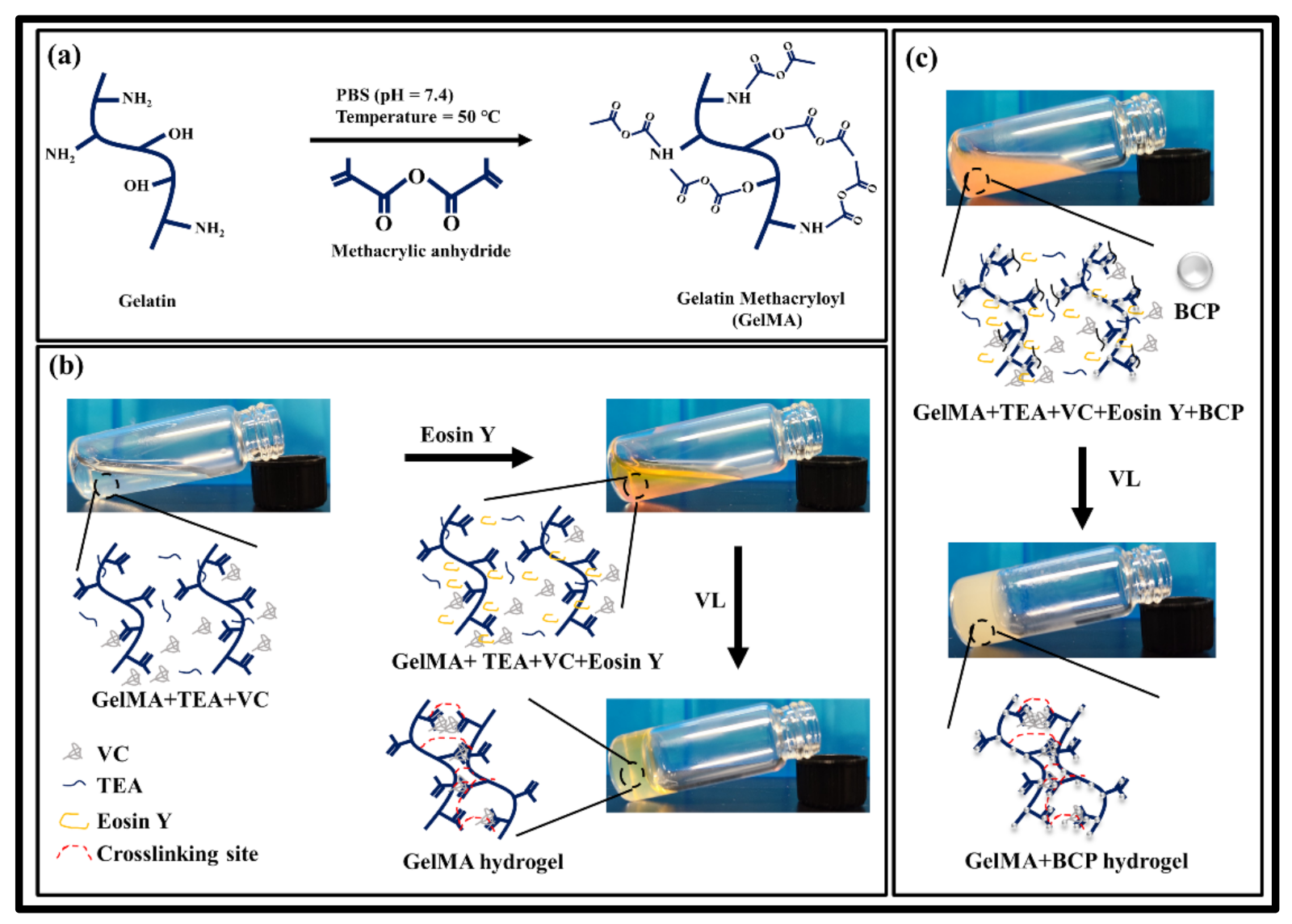 Nanomaterials 11 00617 g001 Nanomaterials 11 00617 g001