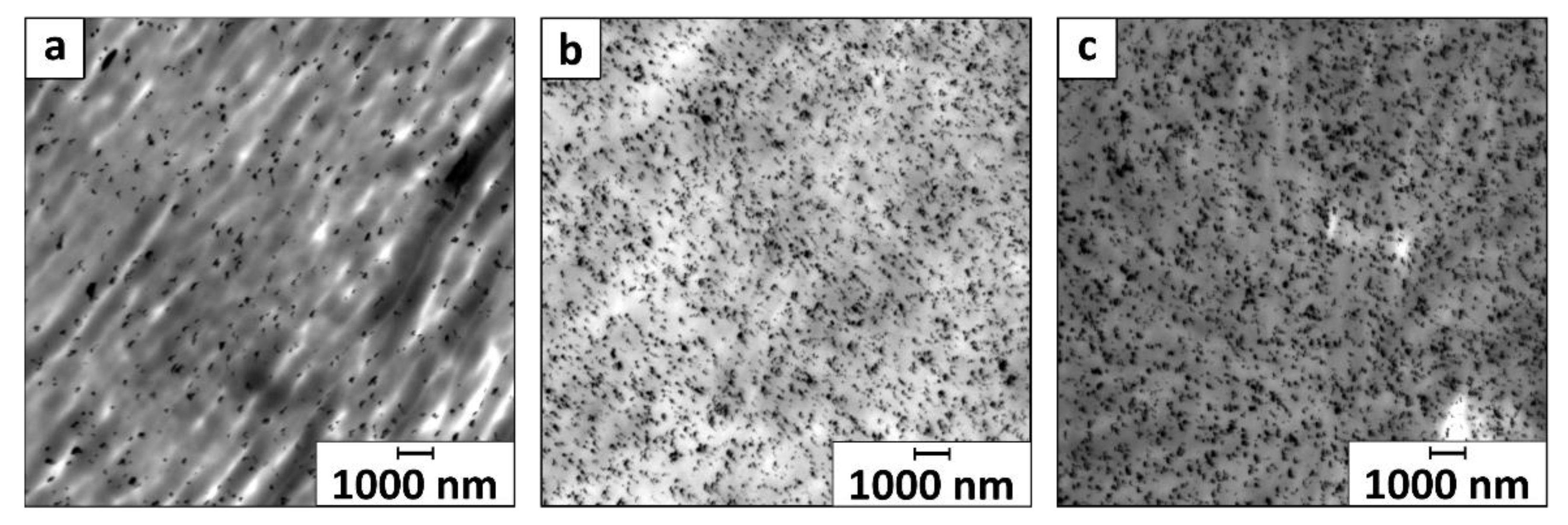 Nanomaterials 11 00618 g003 Nanomaterials 11 00618 g003