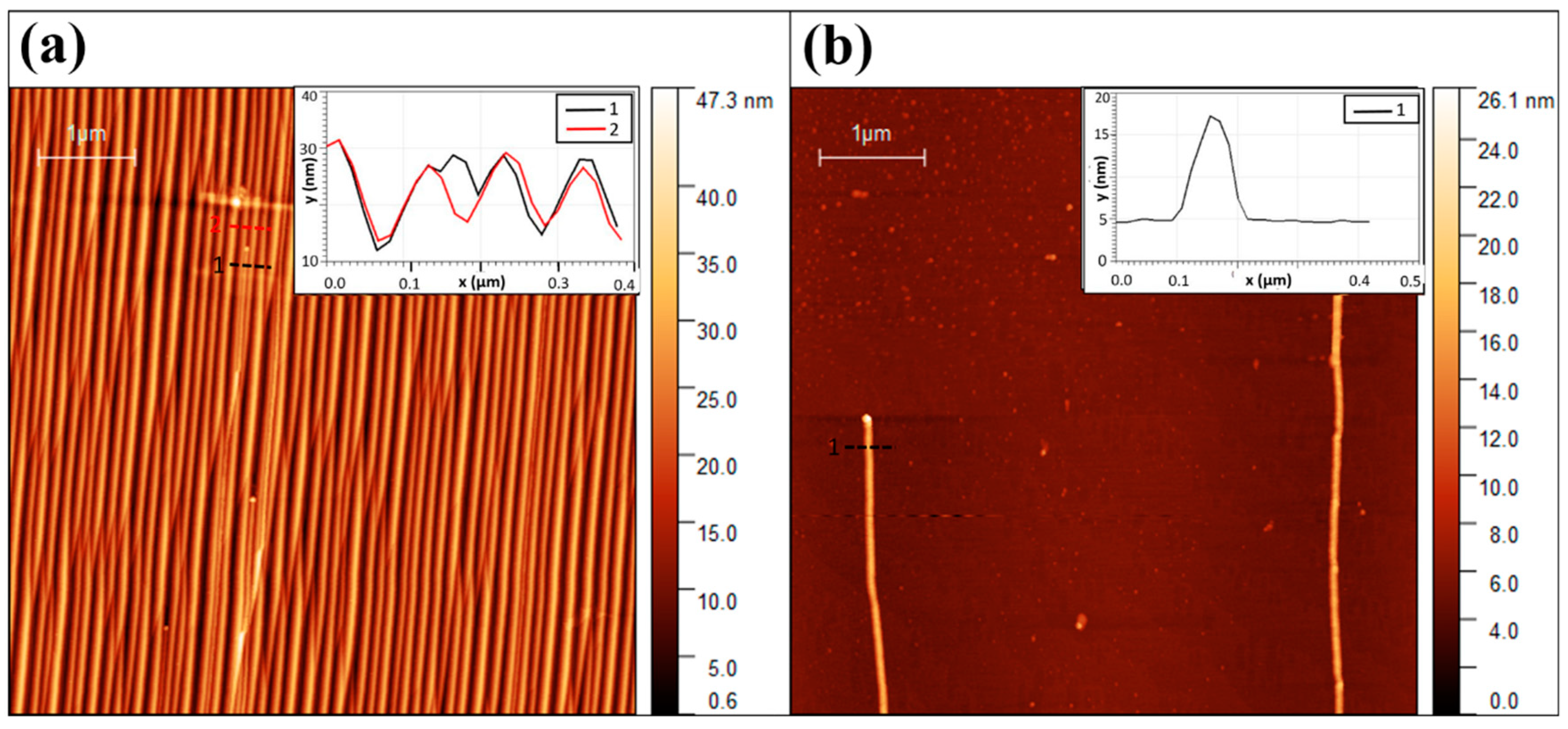 Nanomaterials 11 00624 g002 Nanomaterials 11 00624 g002