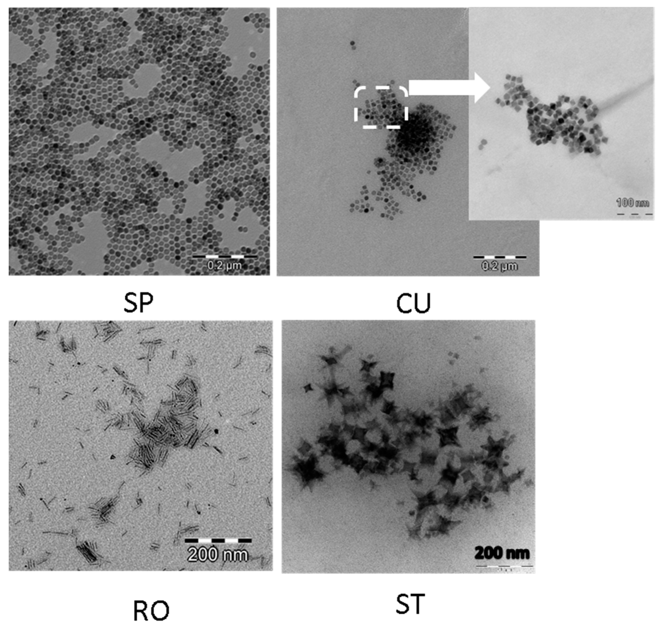 Nanomaterials 11 00627 g001 Nanomaterials 11 00627 g001