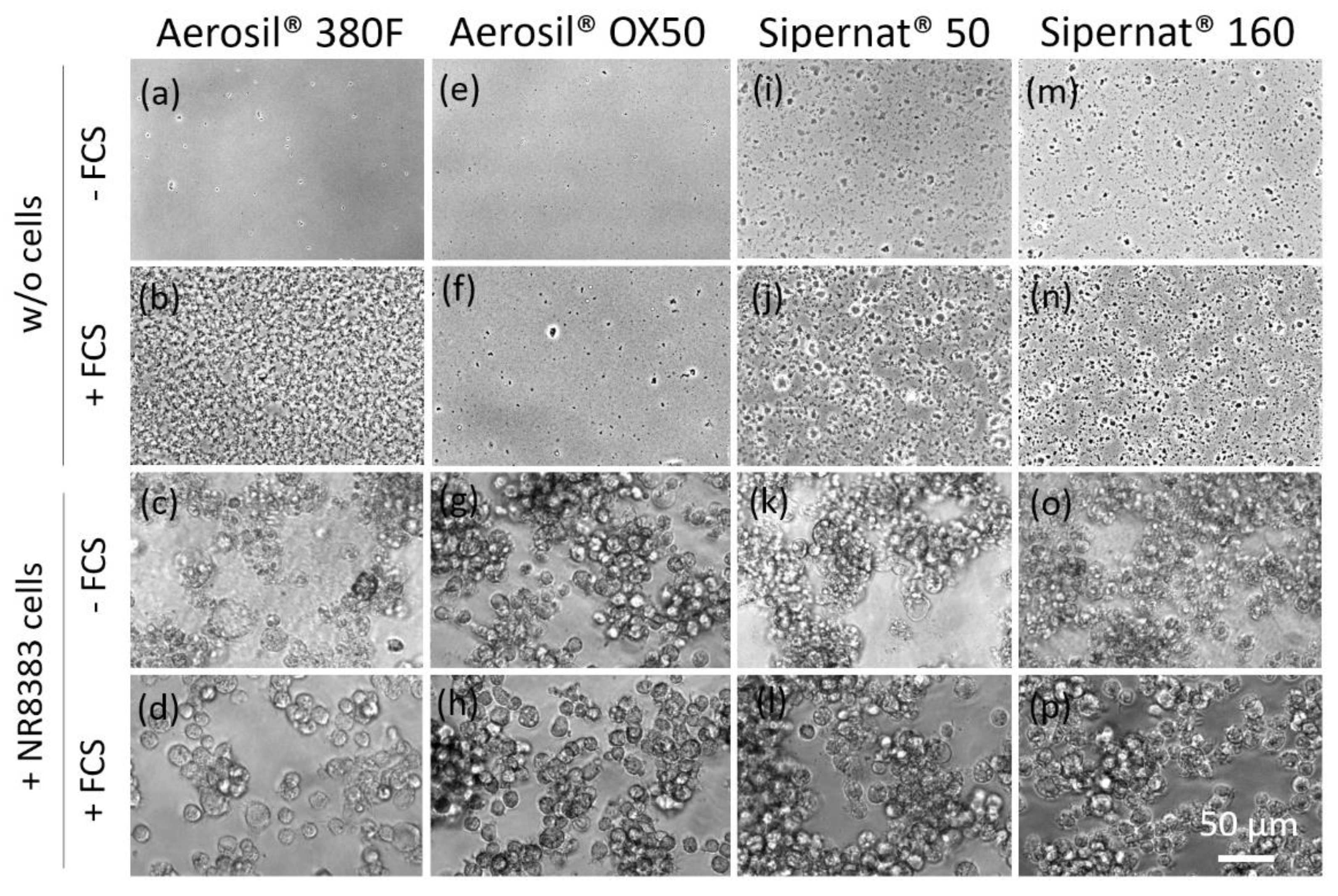Nanomaterials 11 00628 g001 Nanomaterials 11 00628 g001