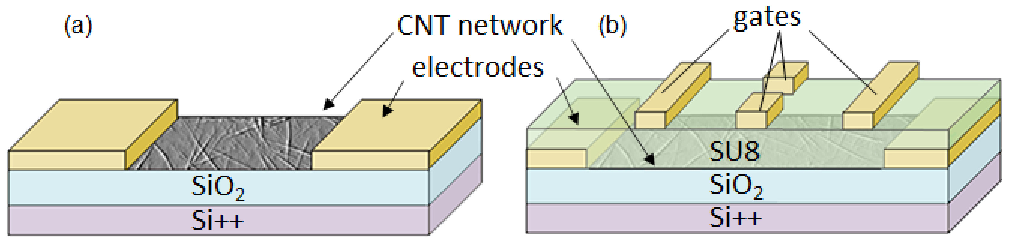 Nanomaterials 11 00636 g001