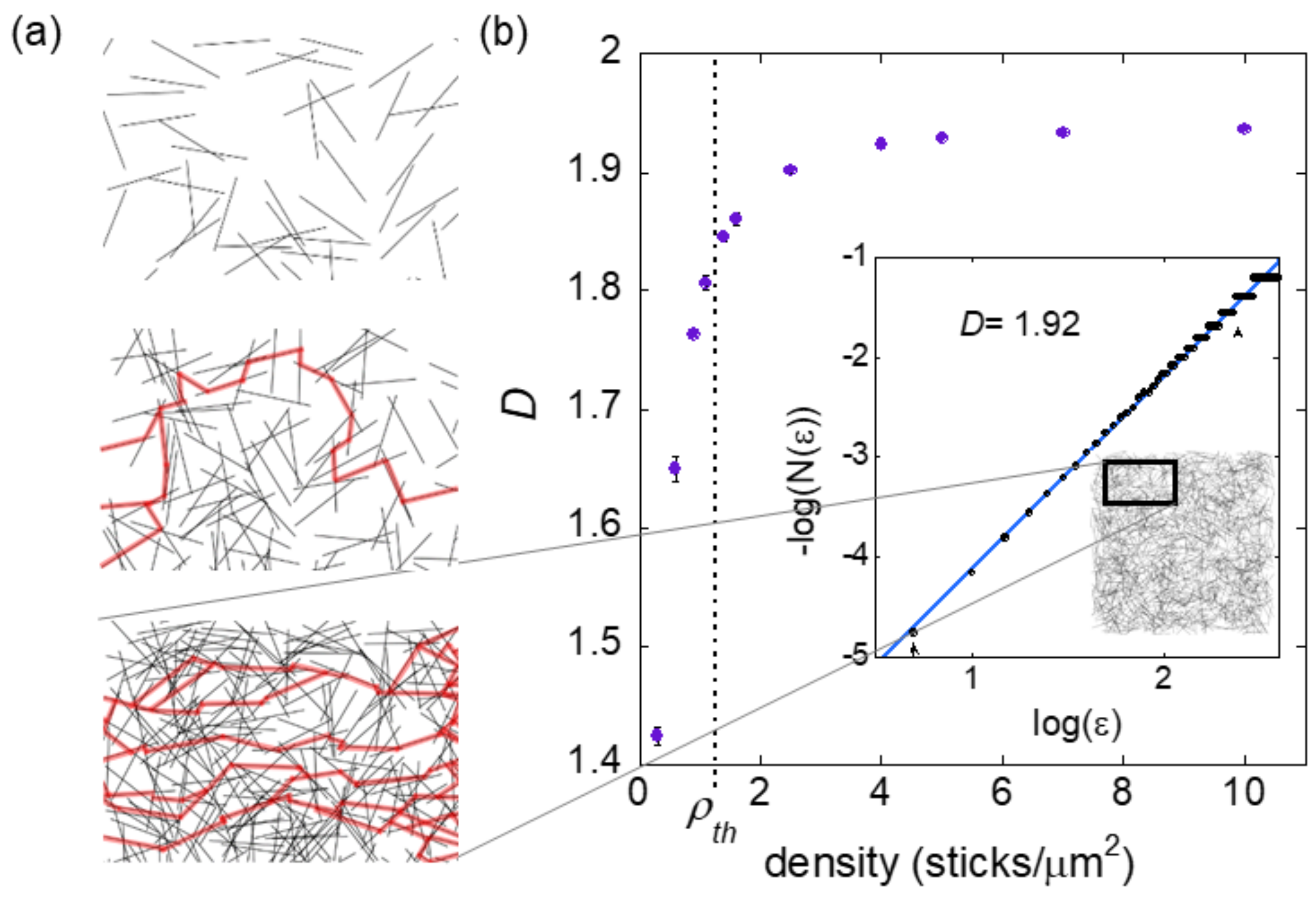 Nanomaterials 11 00636 g003