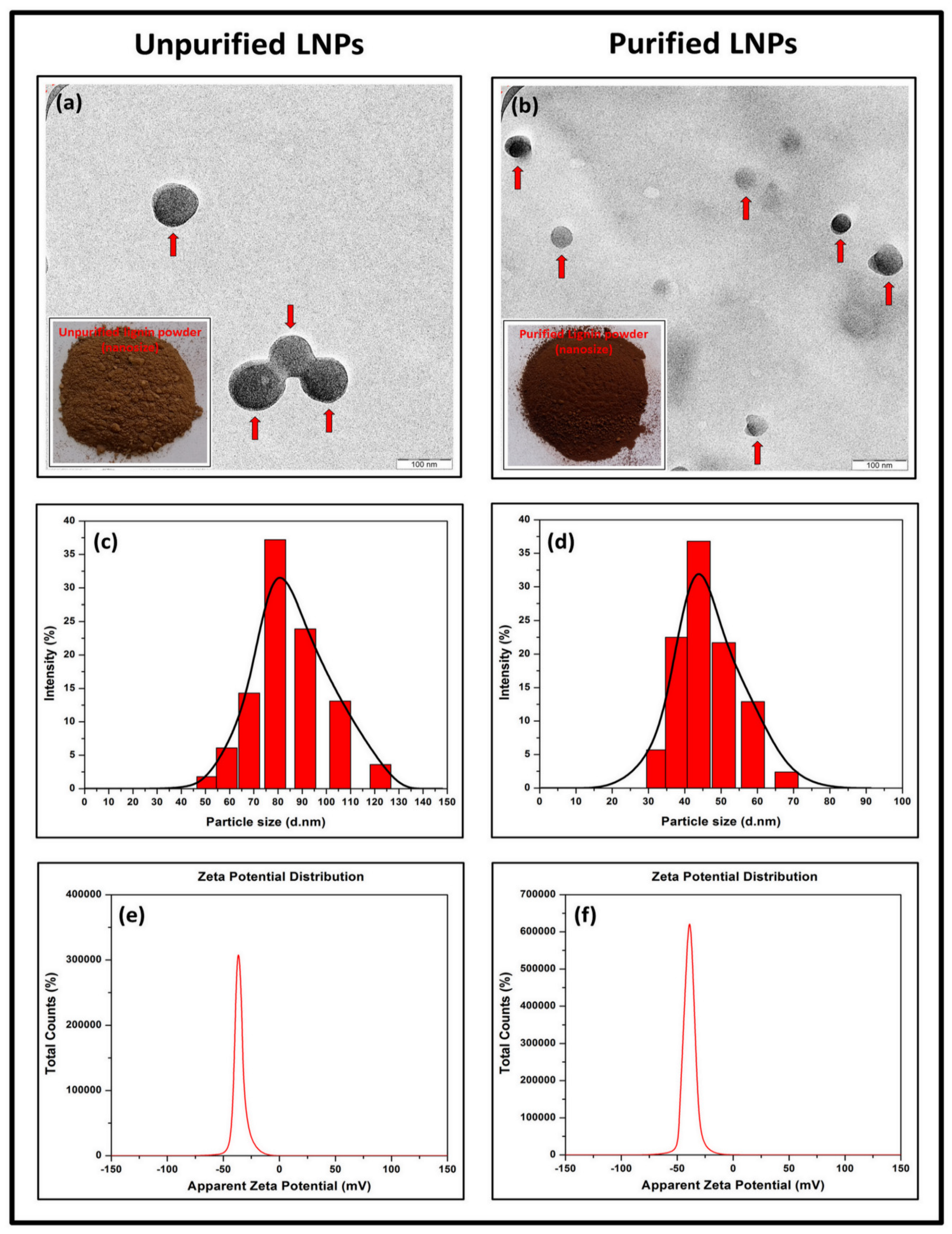 Nanomaterials 11 00637 g001 Nanomaterials 11 00637 g001