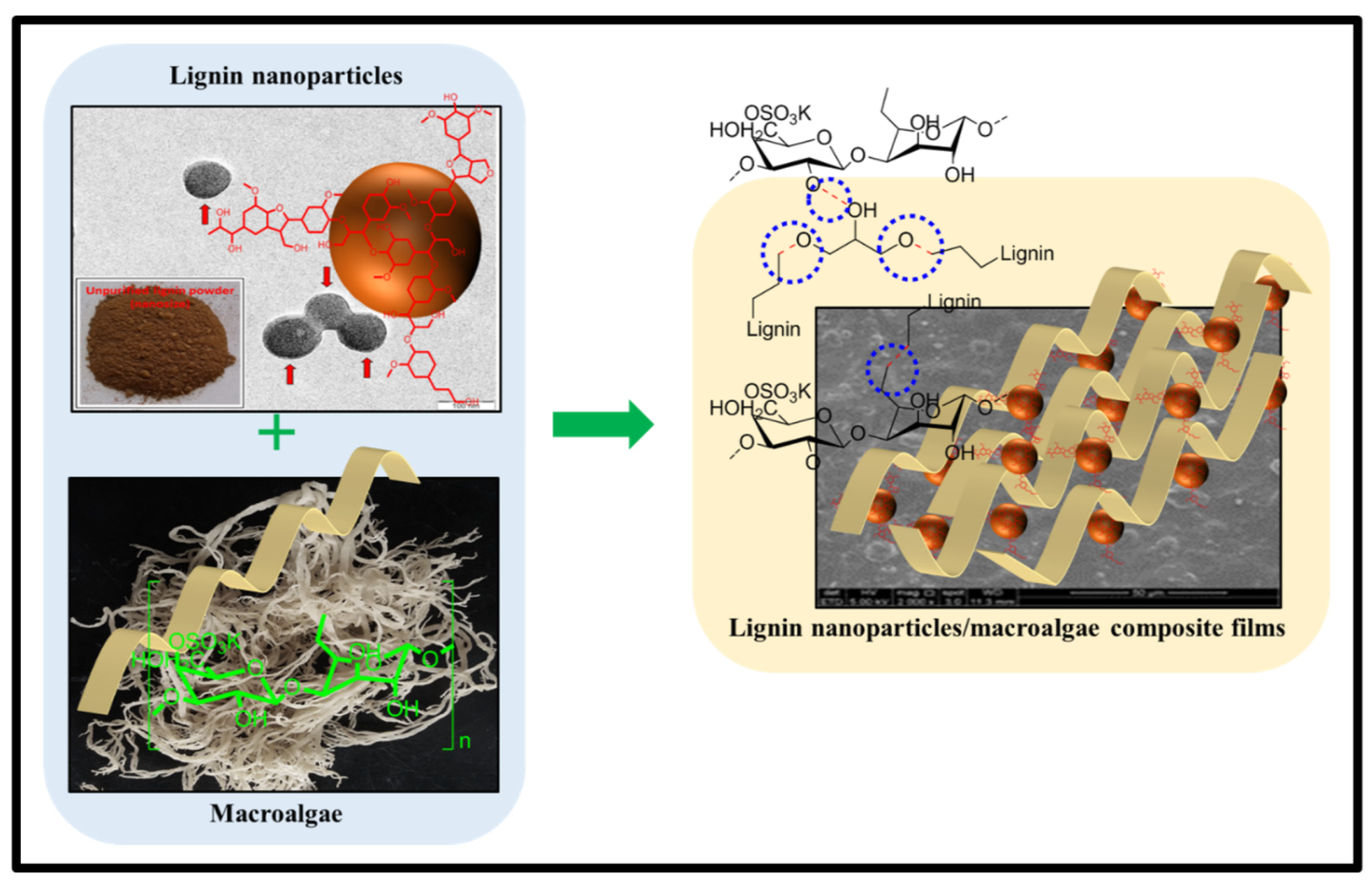 Nanomaterials 11 00637 g004 Nanomaterials 11 00637 g004