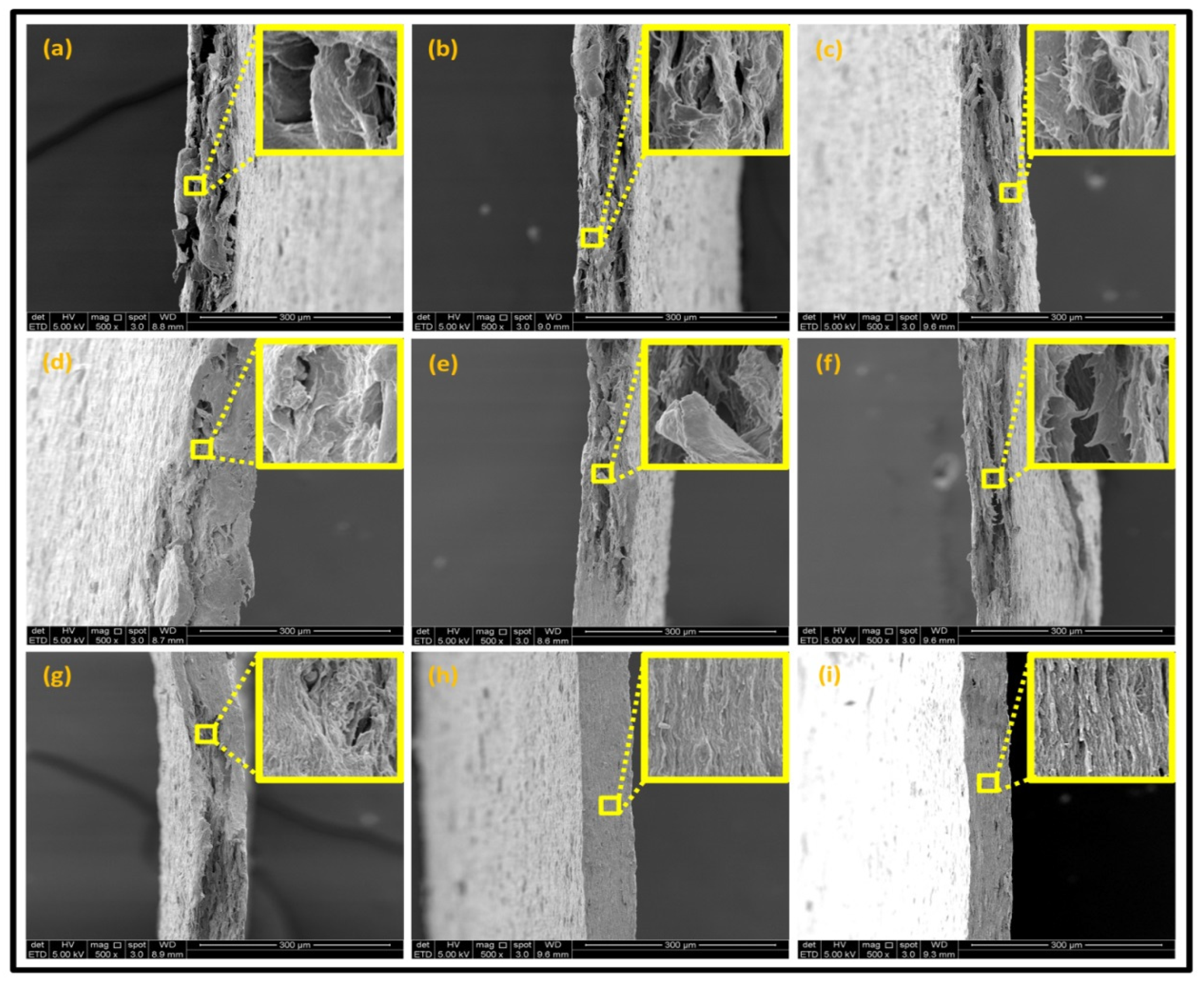 Nanomaterials 11 00637 g007 Nanomaterials 11 00637 g007