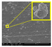 Nanomaterials 11 00637 i016 Nanomaterials 11 00637 i016
