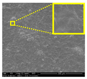 Nanomaterials 11 00637 i019 Nanomaterials 11 00637 i019