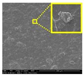 Nanomaterials 11 00637 i022 Nanomaterials 11 00637 i022
