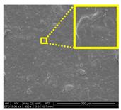 Nanomaterials 11 00637 i025 Nanomaterials 11 00637 i025