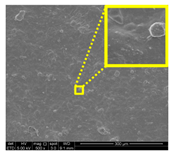 Nanomaterials 11 00637 i028 Nanomaterials 11 00637 i028