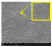 Nanomaterials 11 00637 i031 Nanomaterials 11 00637 i031