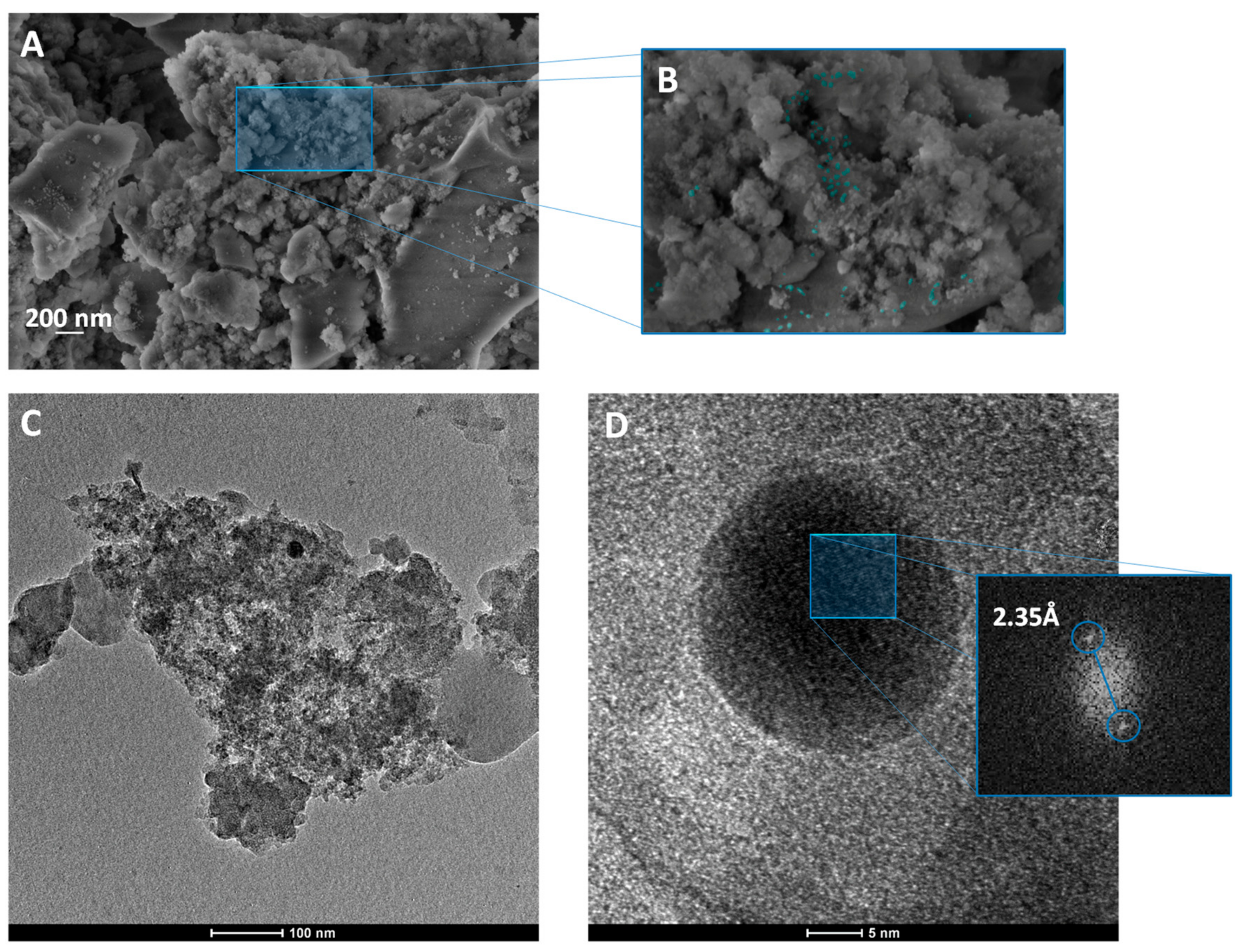 Nanomaterials 11 00638 g006