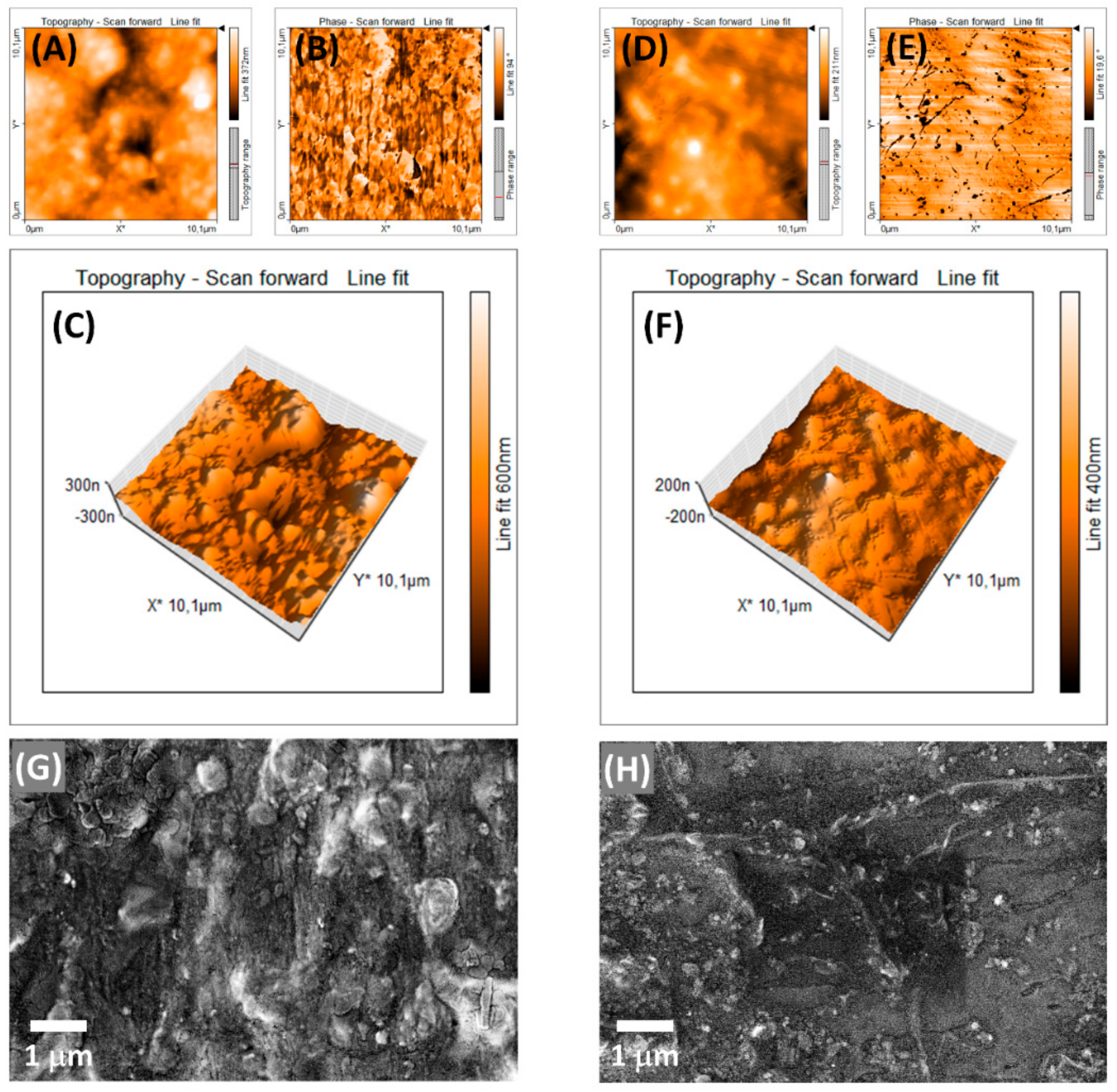 Nanomaterials 11 00638 g007