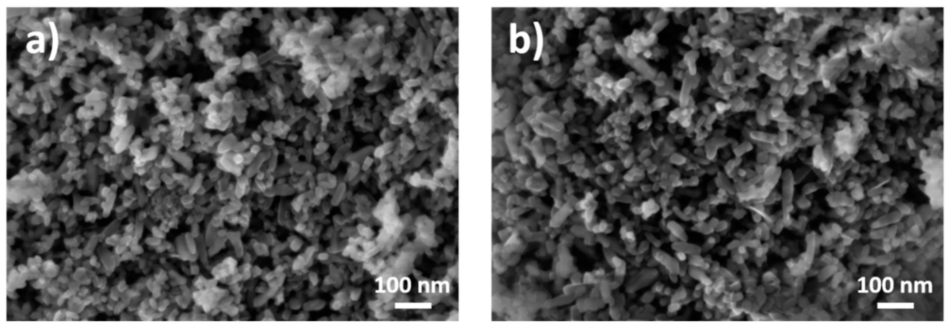 Nanomaterials 11 00639 g002