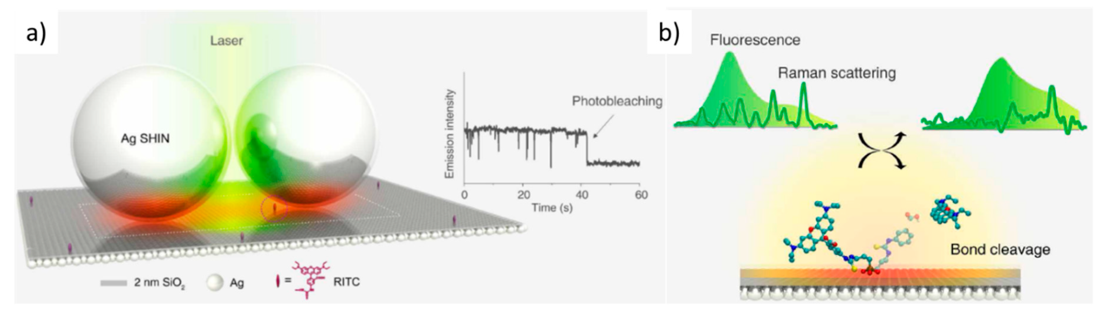 Raman and Fluorescence Enhancement Approaches in Graphene