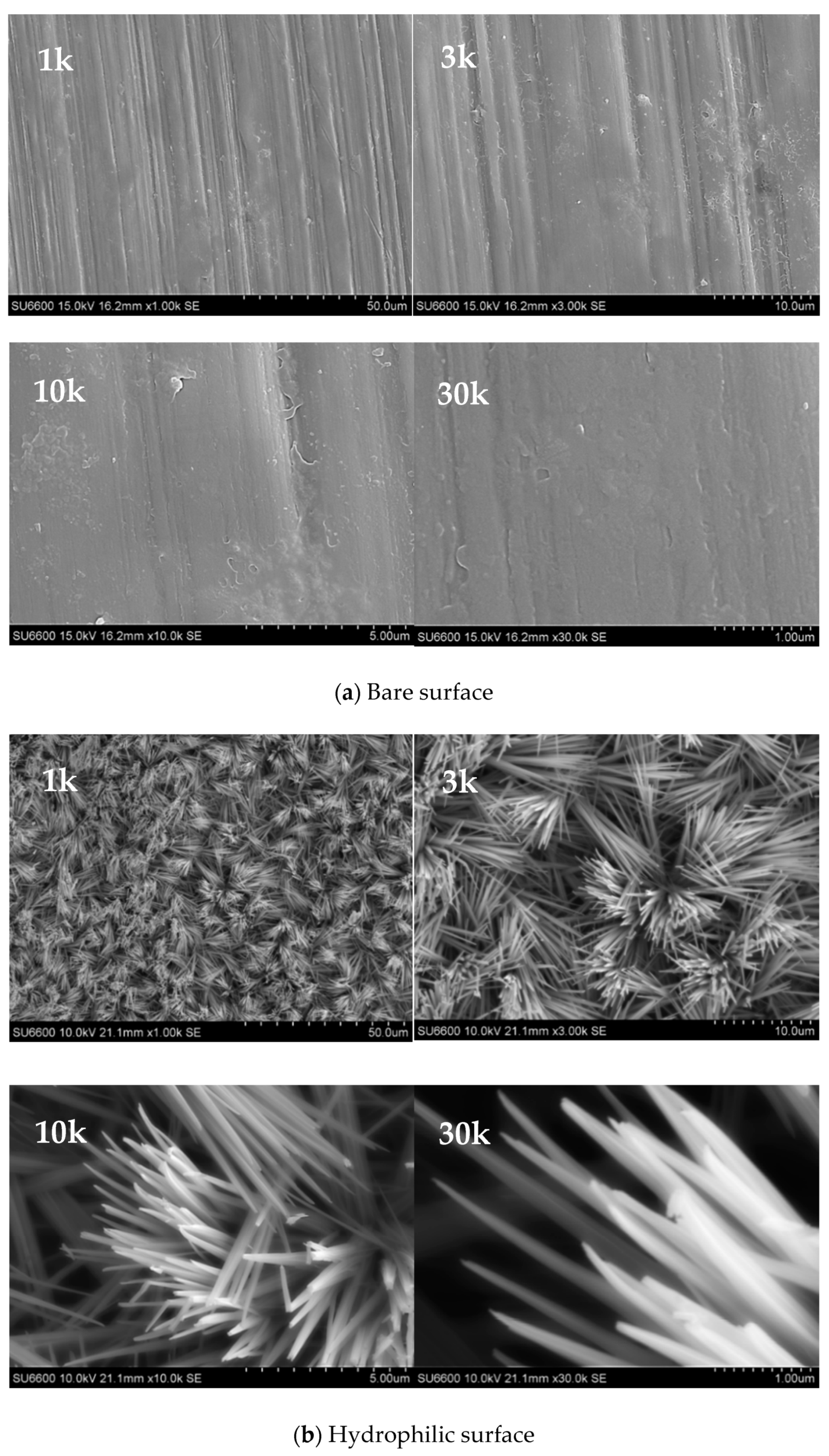 Nanomaterials 11 00647 g004 Nanomaterials 11 00647 g004