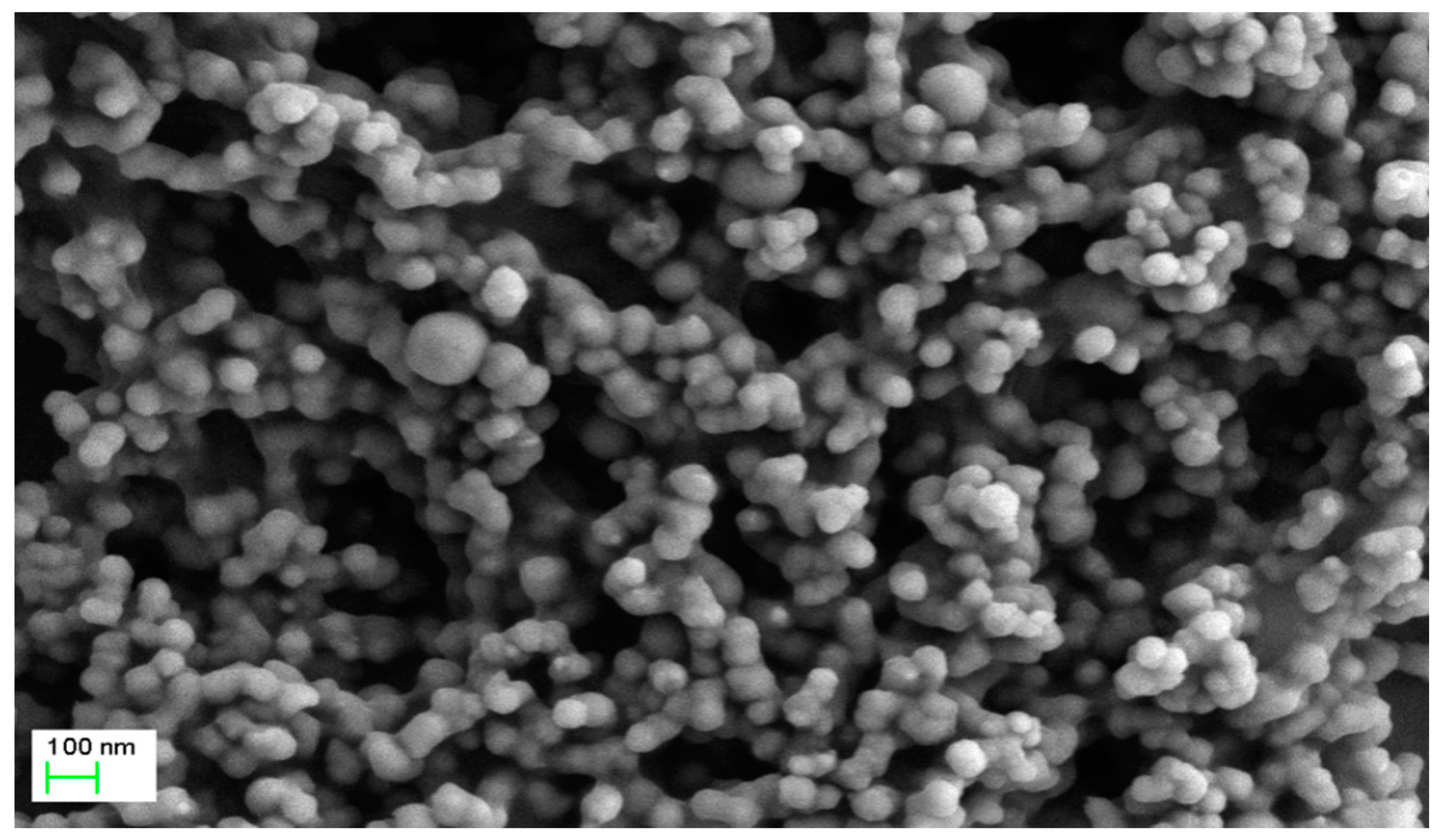 Nanomaterials 11 00650 g002