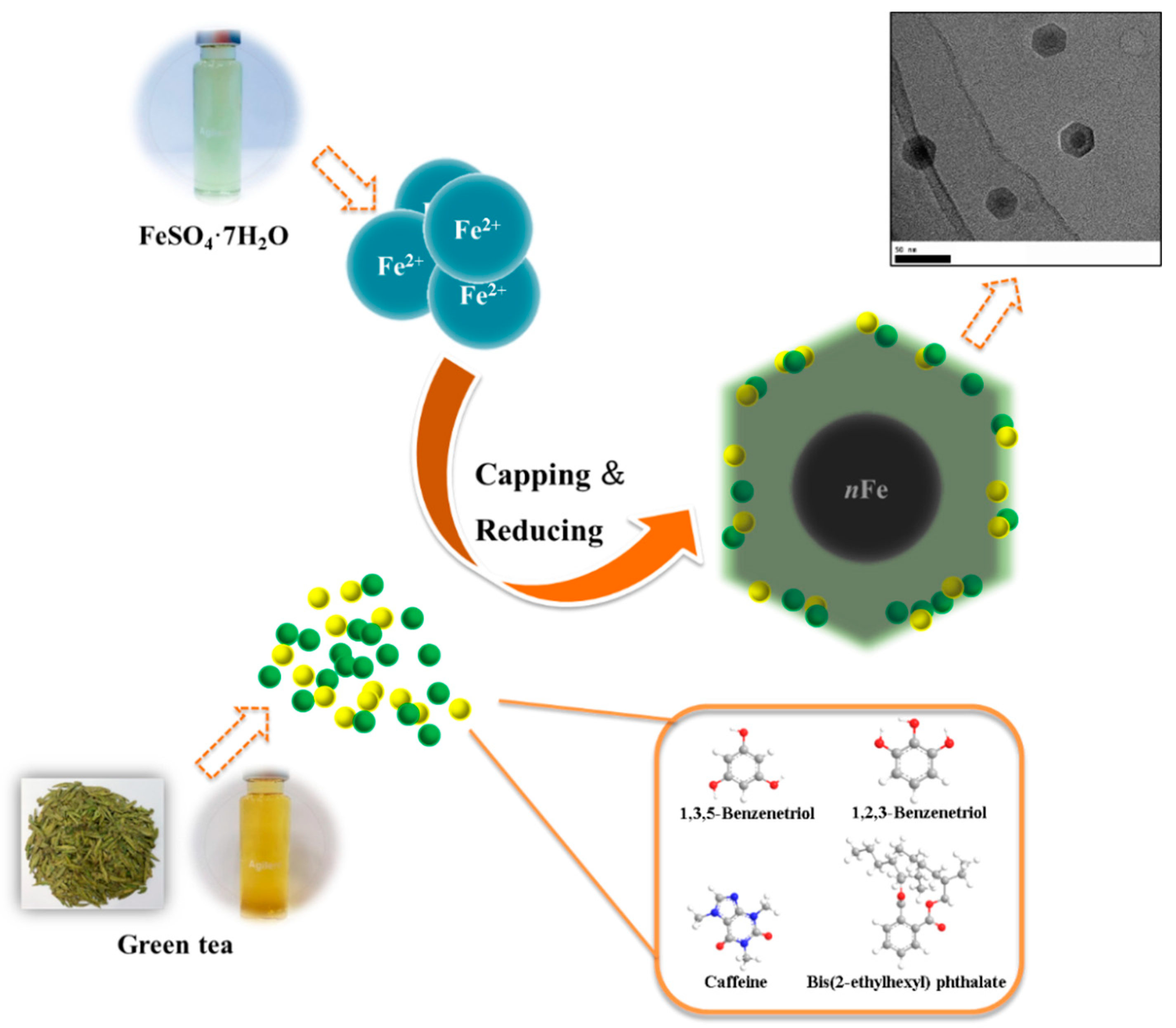 Nanomaterials 11 00650 g008