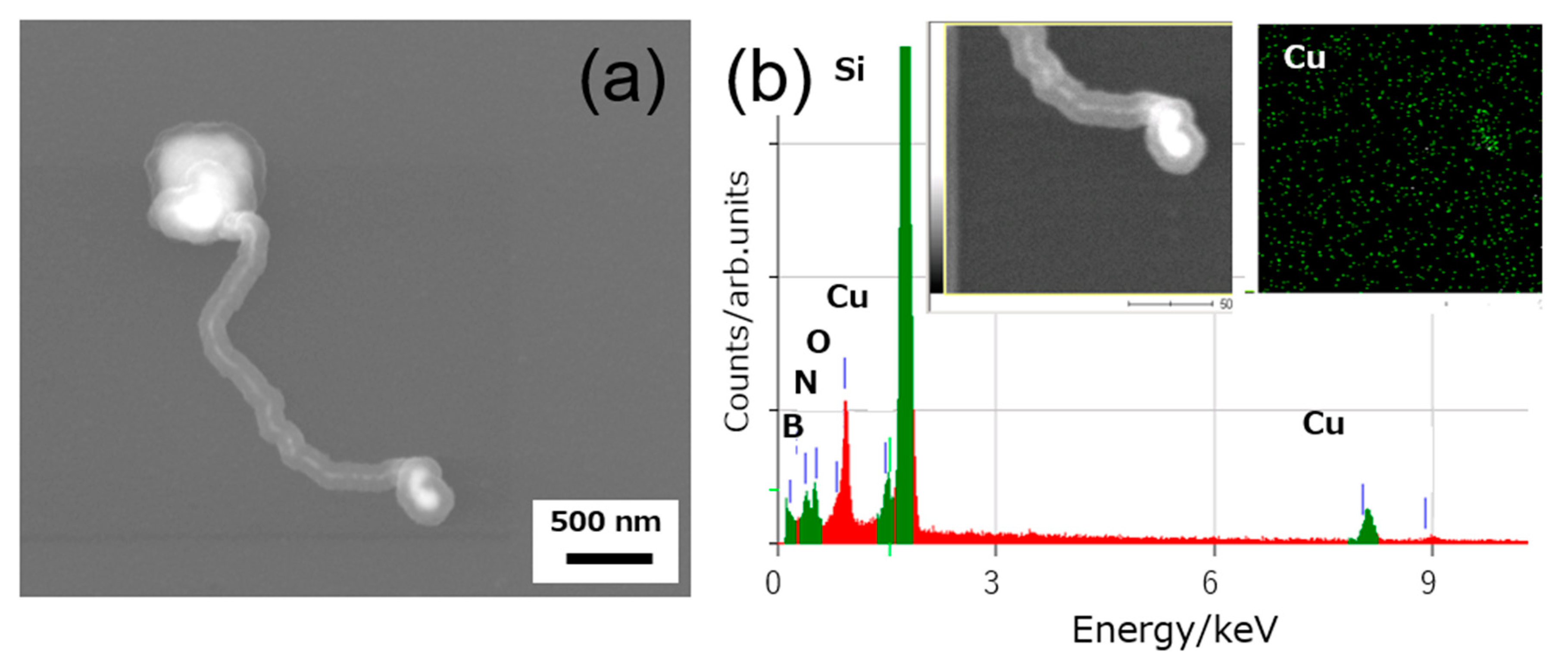 Nanomaterials 11 00651 g004 Nanomaterials 11 00651 g004
