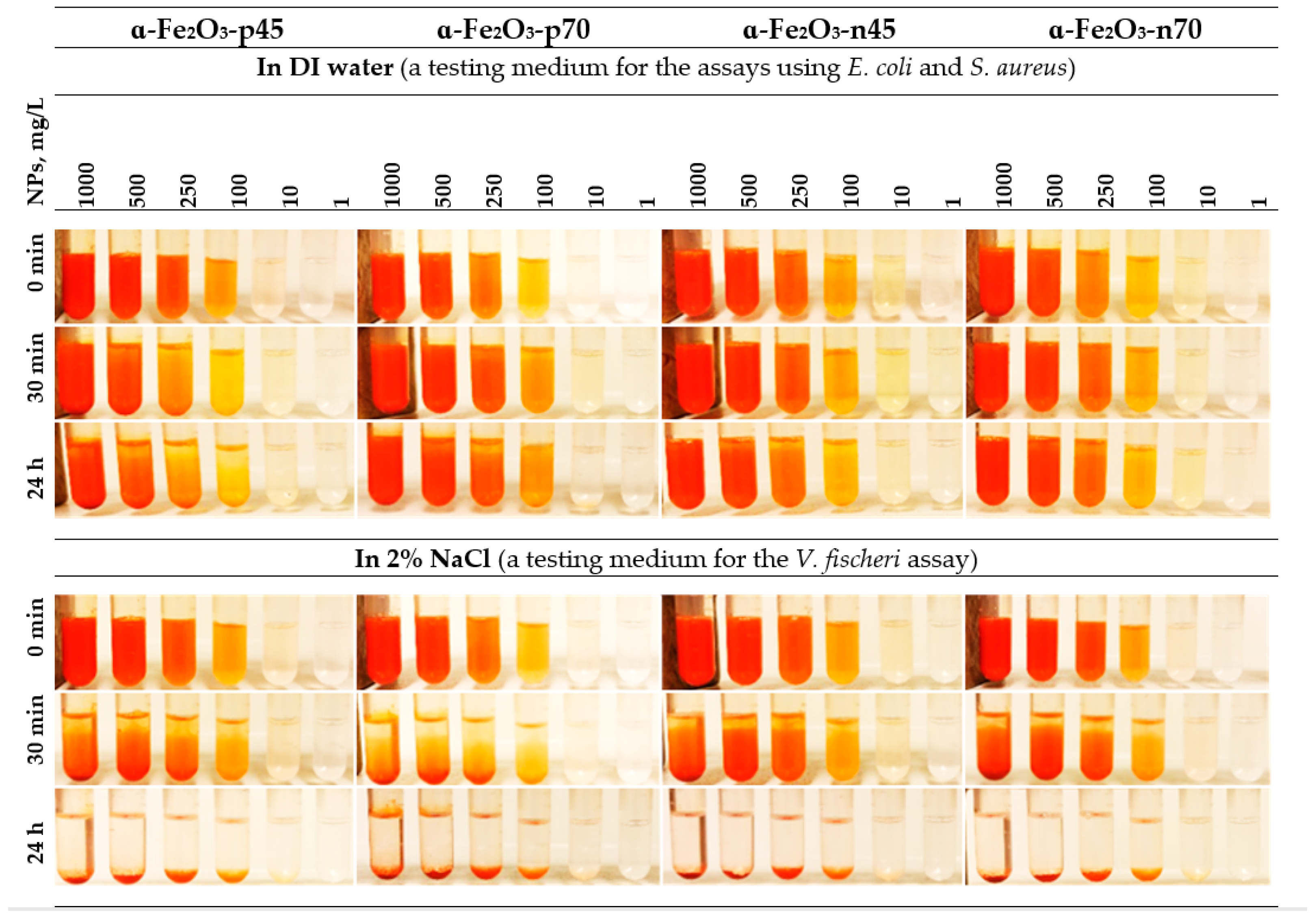 Nanomaterials 11 00652 g004