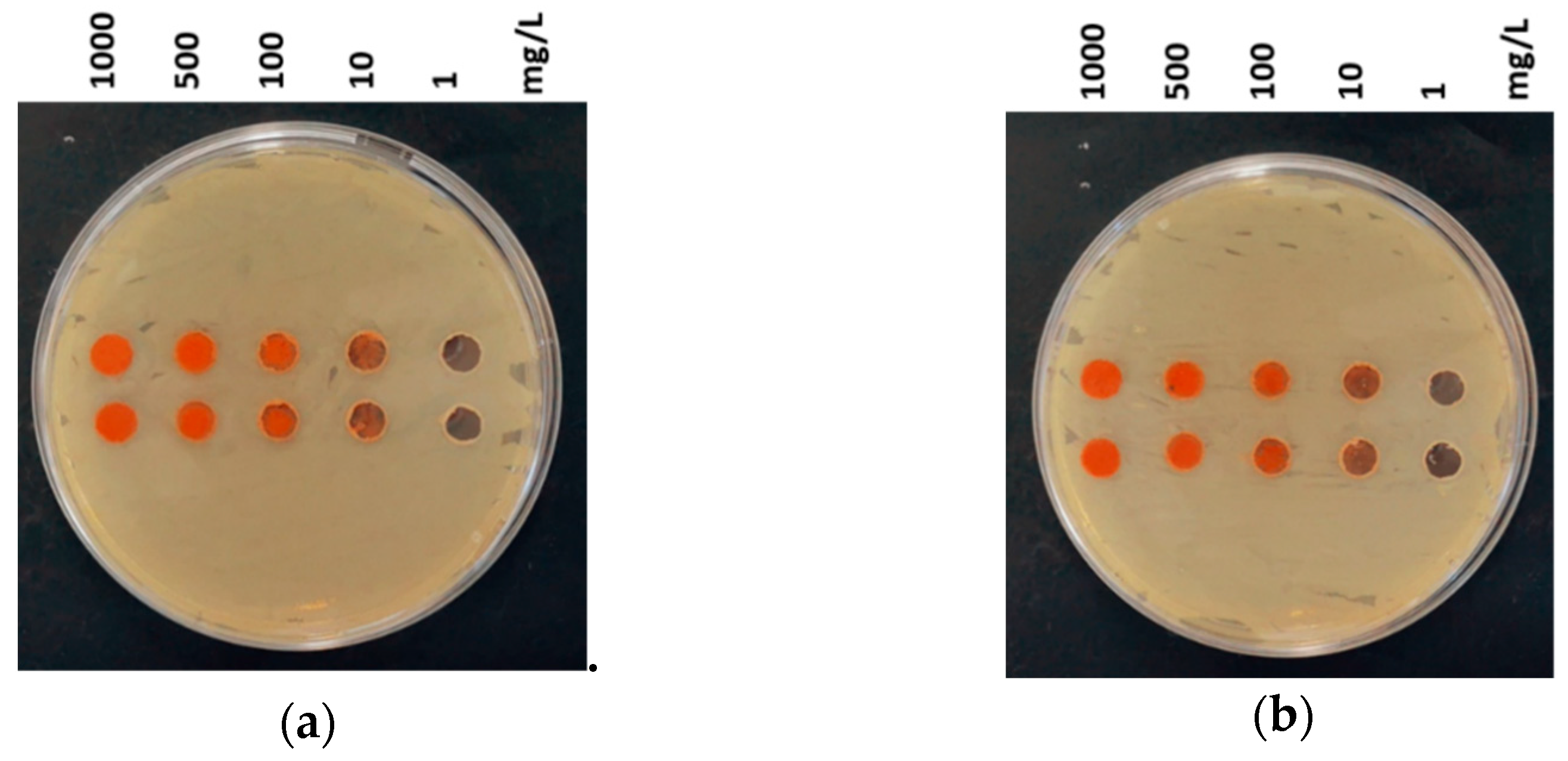 Nanomaterials 11 00652 g006