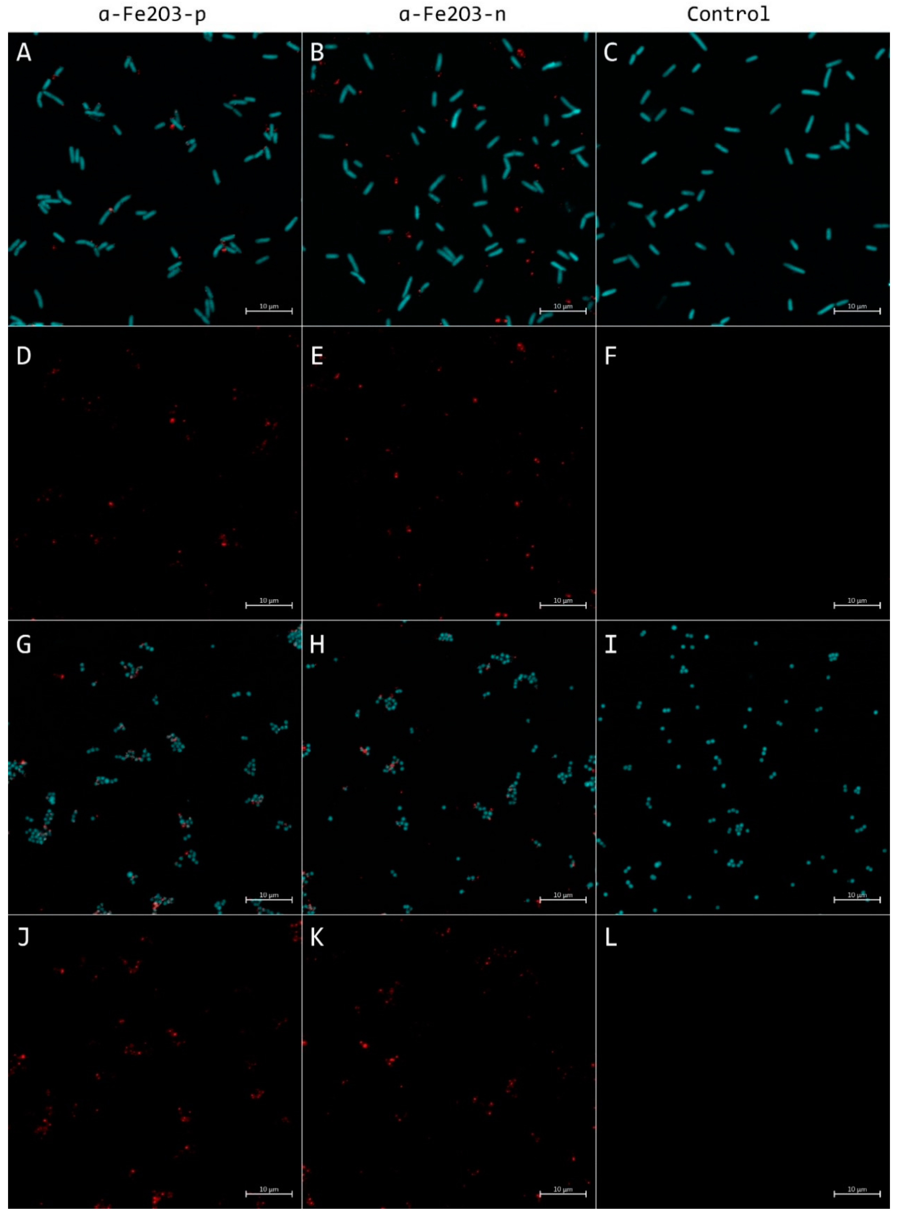 Nanomaterials 11 00652 g011