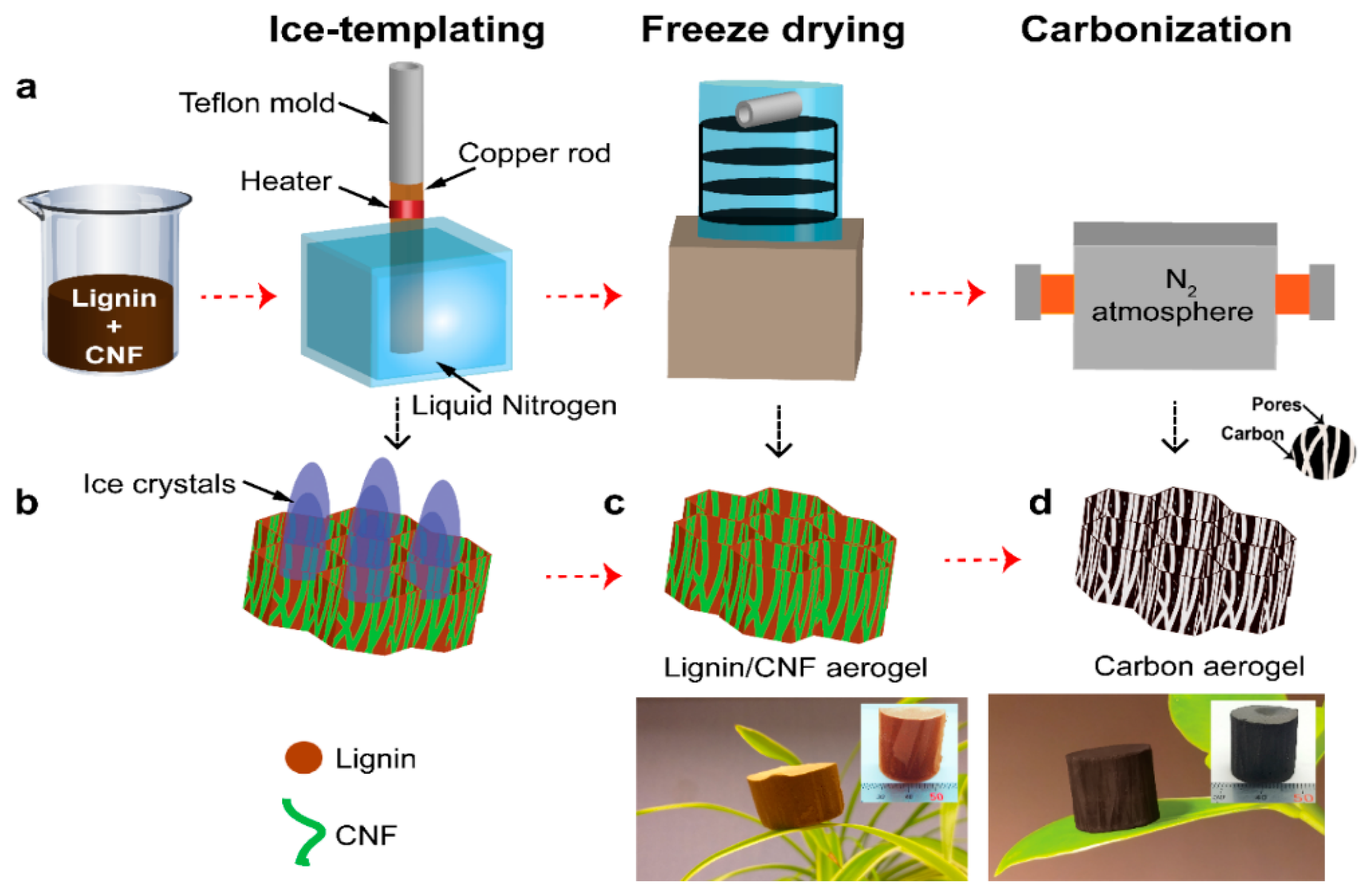 Nanomaterials 11 00653 g001