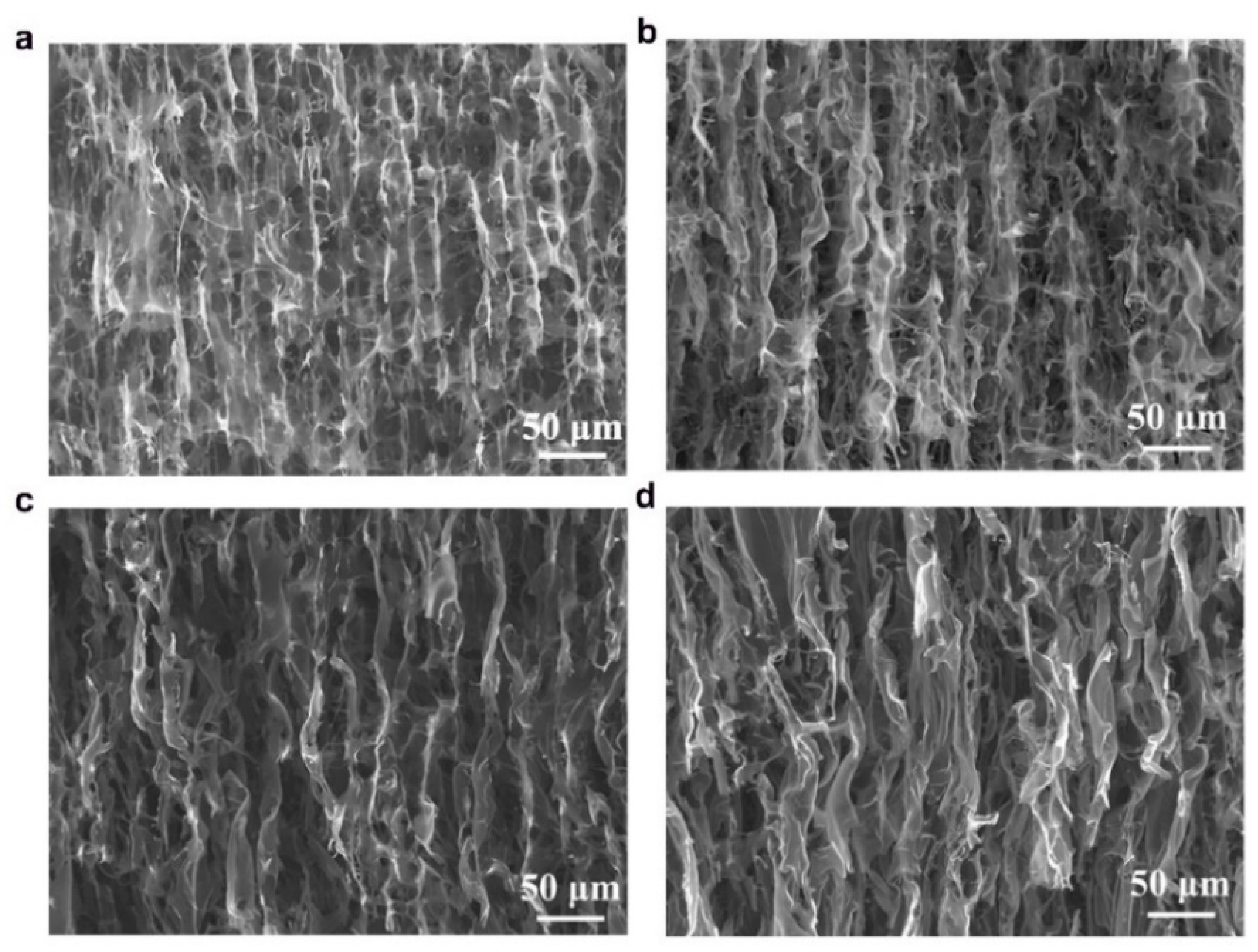 Nanomaterials 11 00653 g004