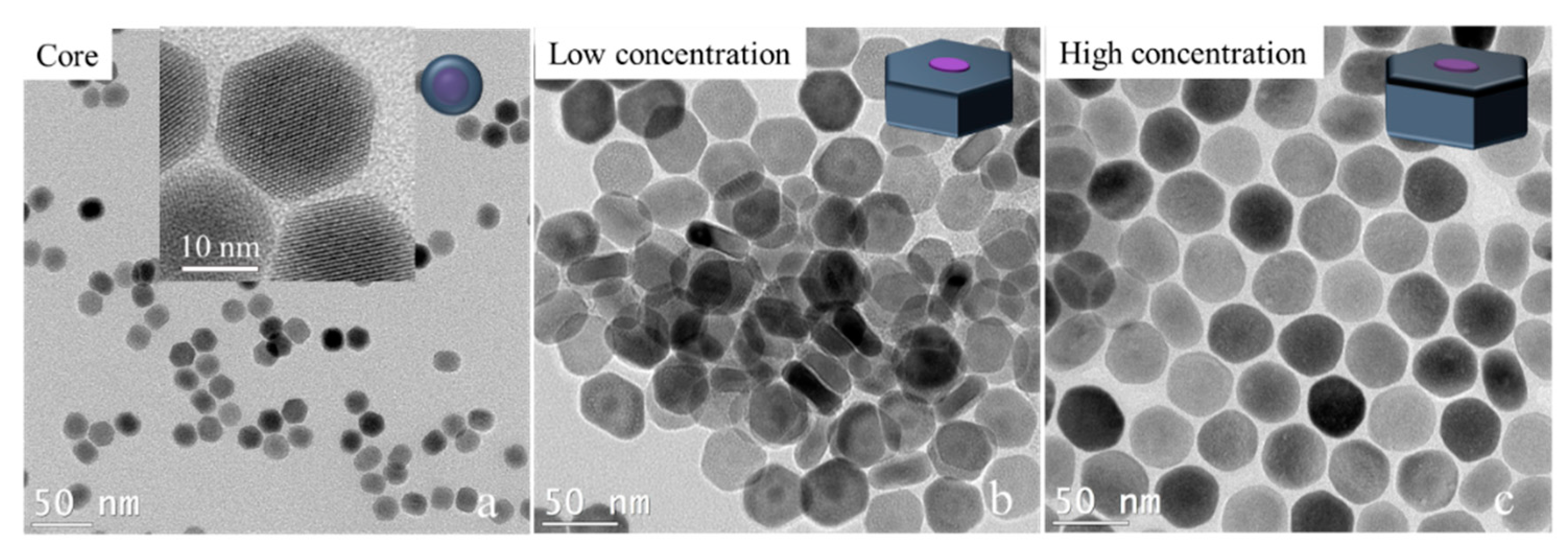 Nanomaterials 11 00654 g004
