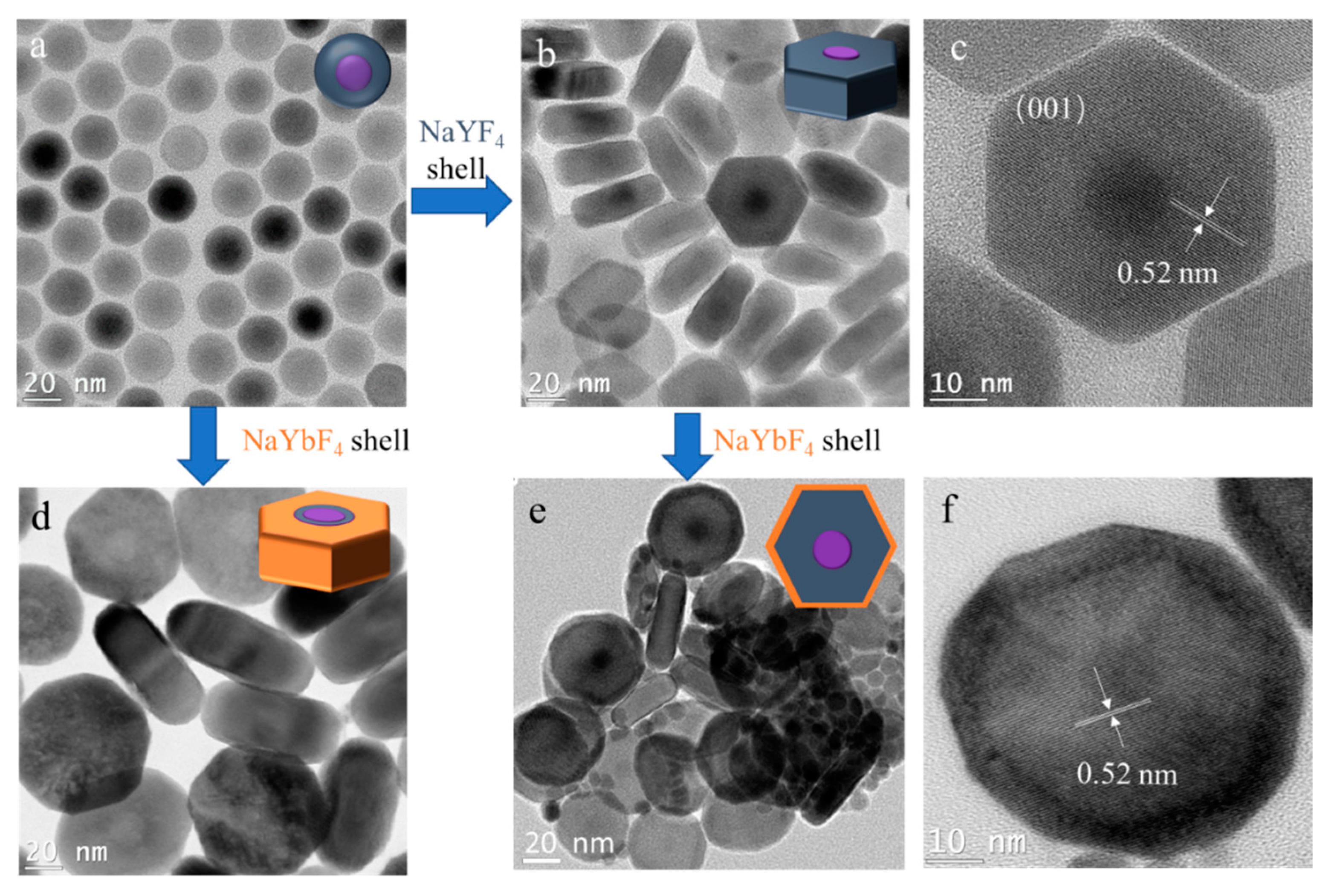 Nanomaterials 11 00654 g005