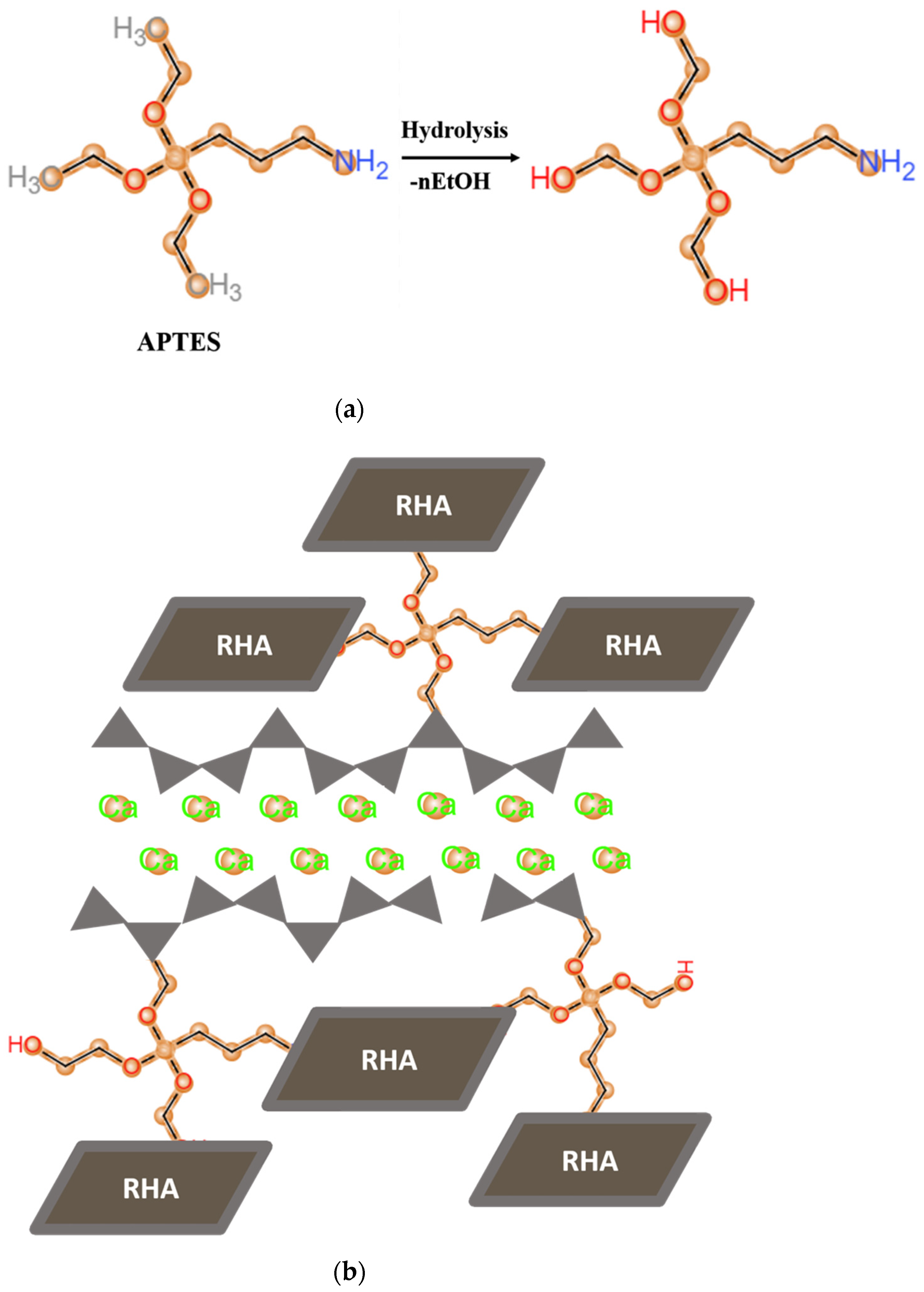 Nanomaterials 11 00655 g001 Nanomaterials 11 00655 g001