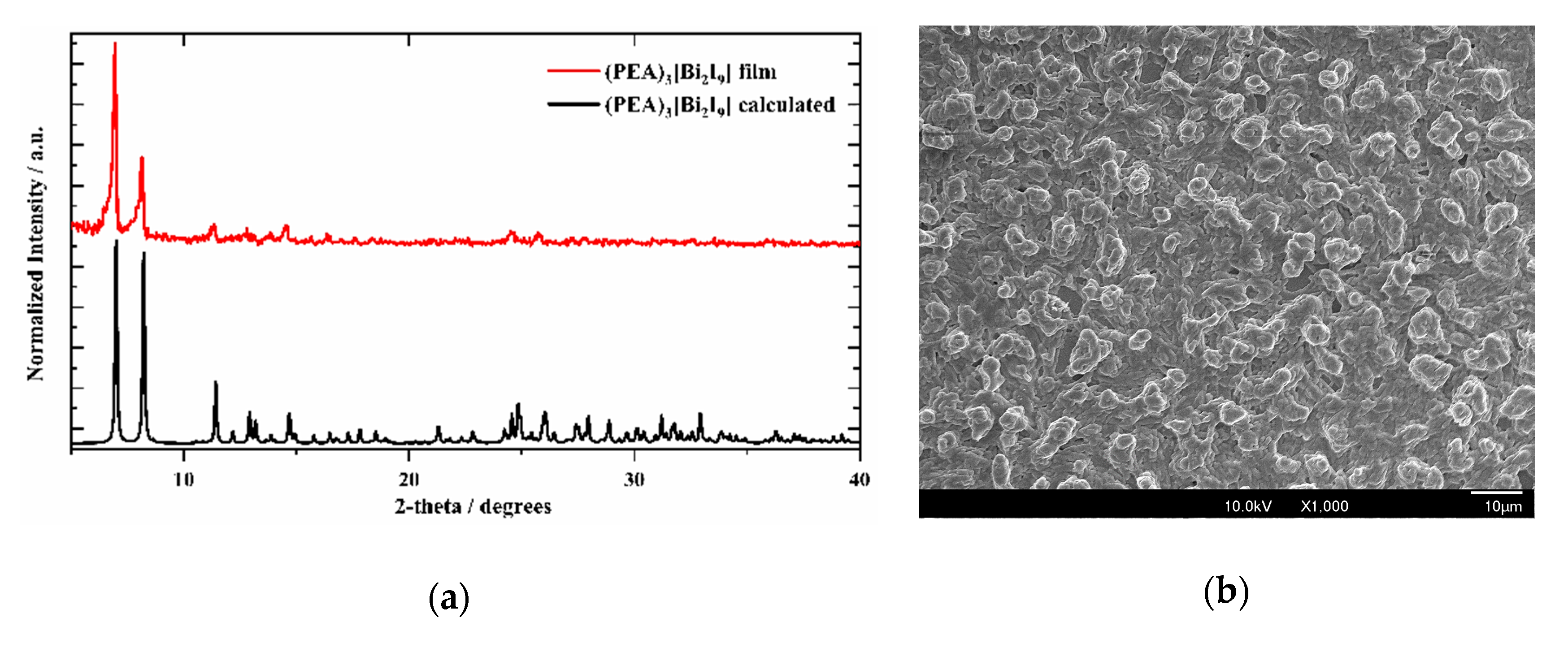 Nanomaterials 11 00656 g001