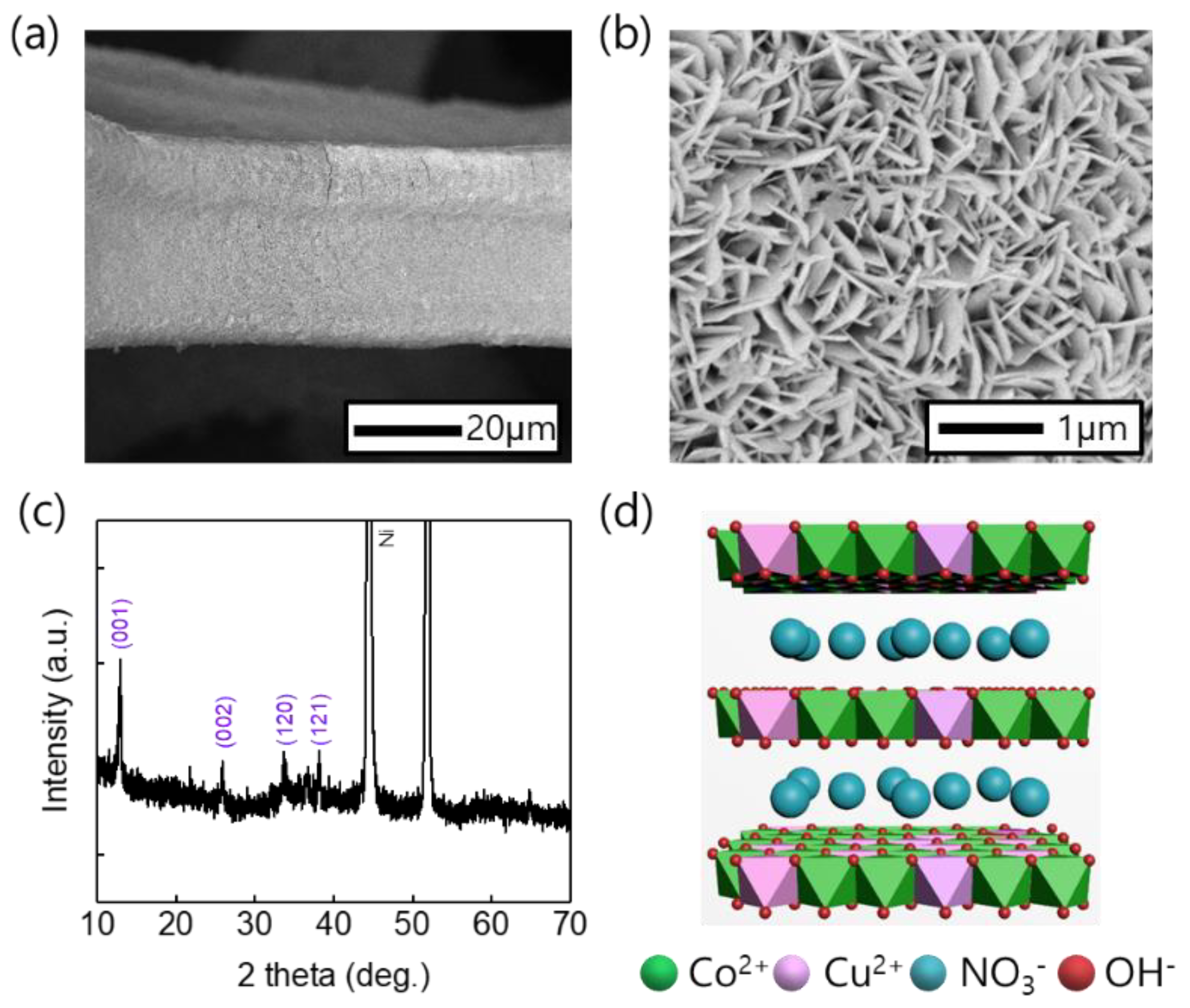 Nanomaterials 11 00657 g002 Nanomaterials 11 00657 g002