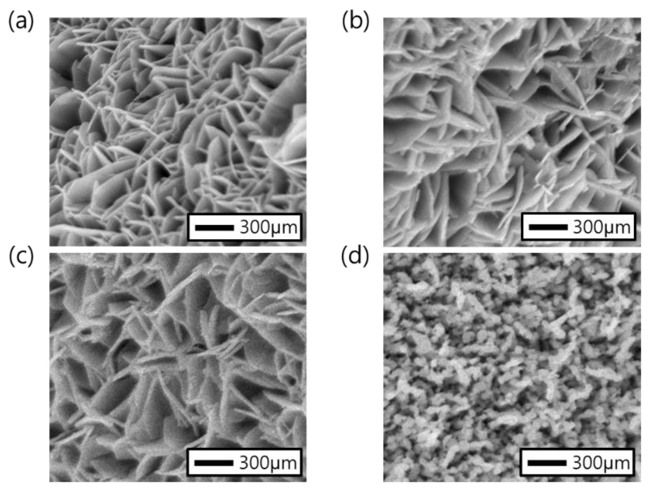 Nanomaterials 11 00657 g003 Nanomaterials 11 00657 g003